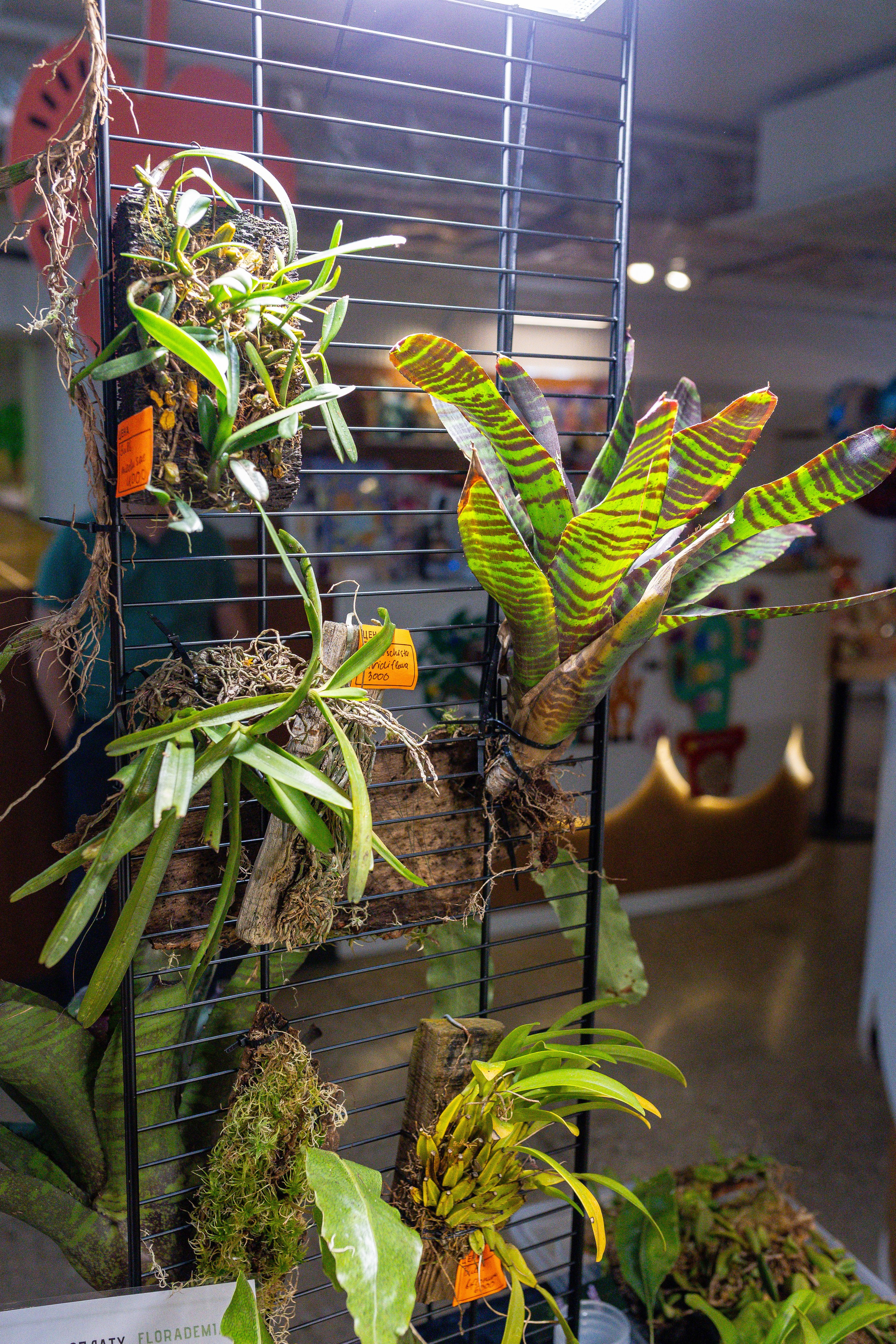 Growbox 5лет. Александра Куликова фотограф, Москва