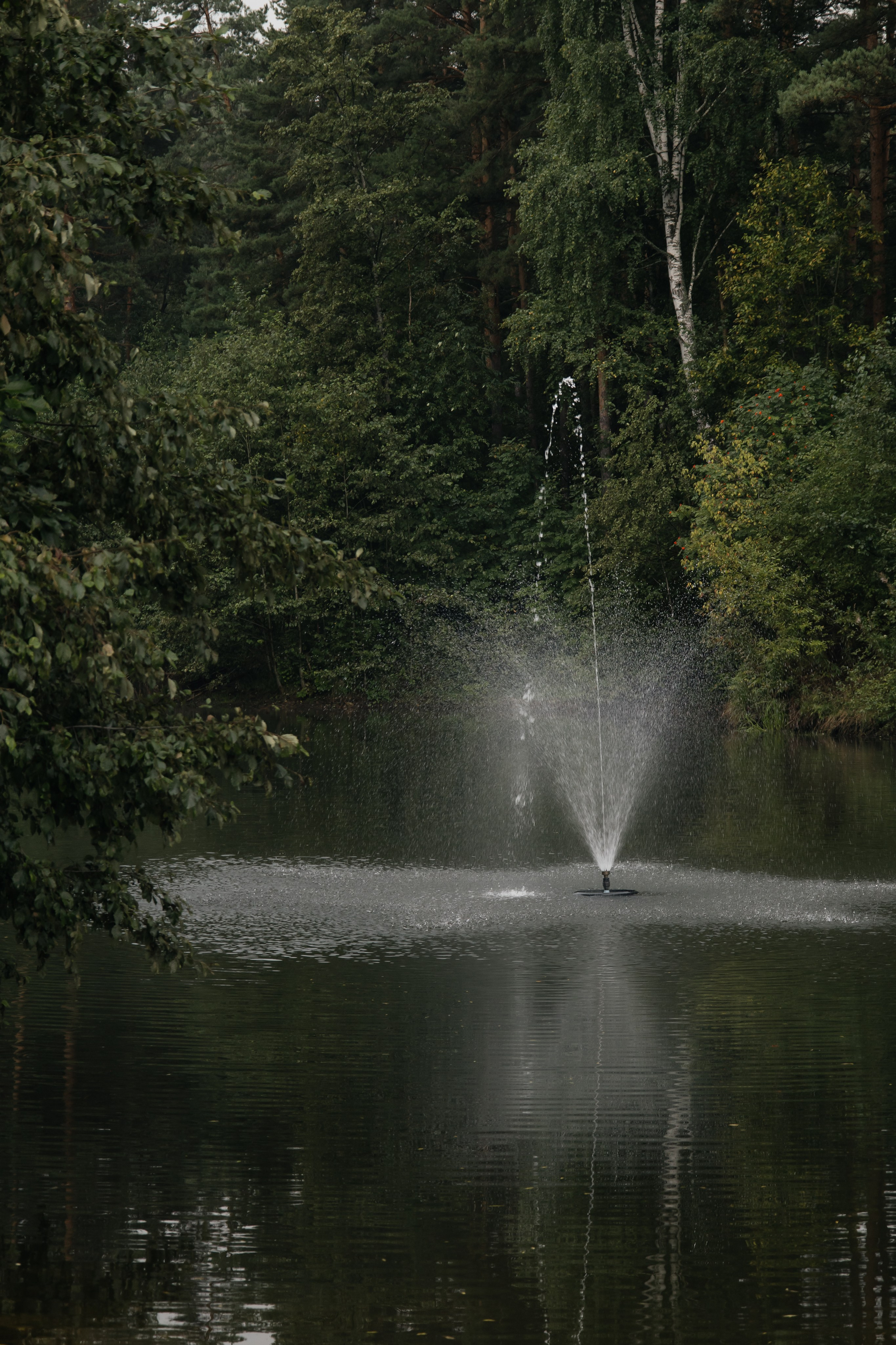 Никита & Наталья. Свадебный фотограф Екатеринбург Зямбахтина Дарья
