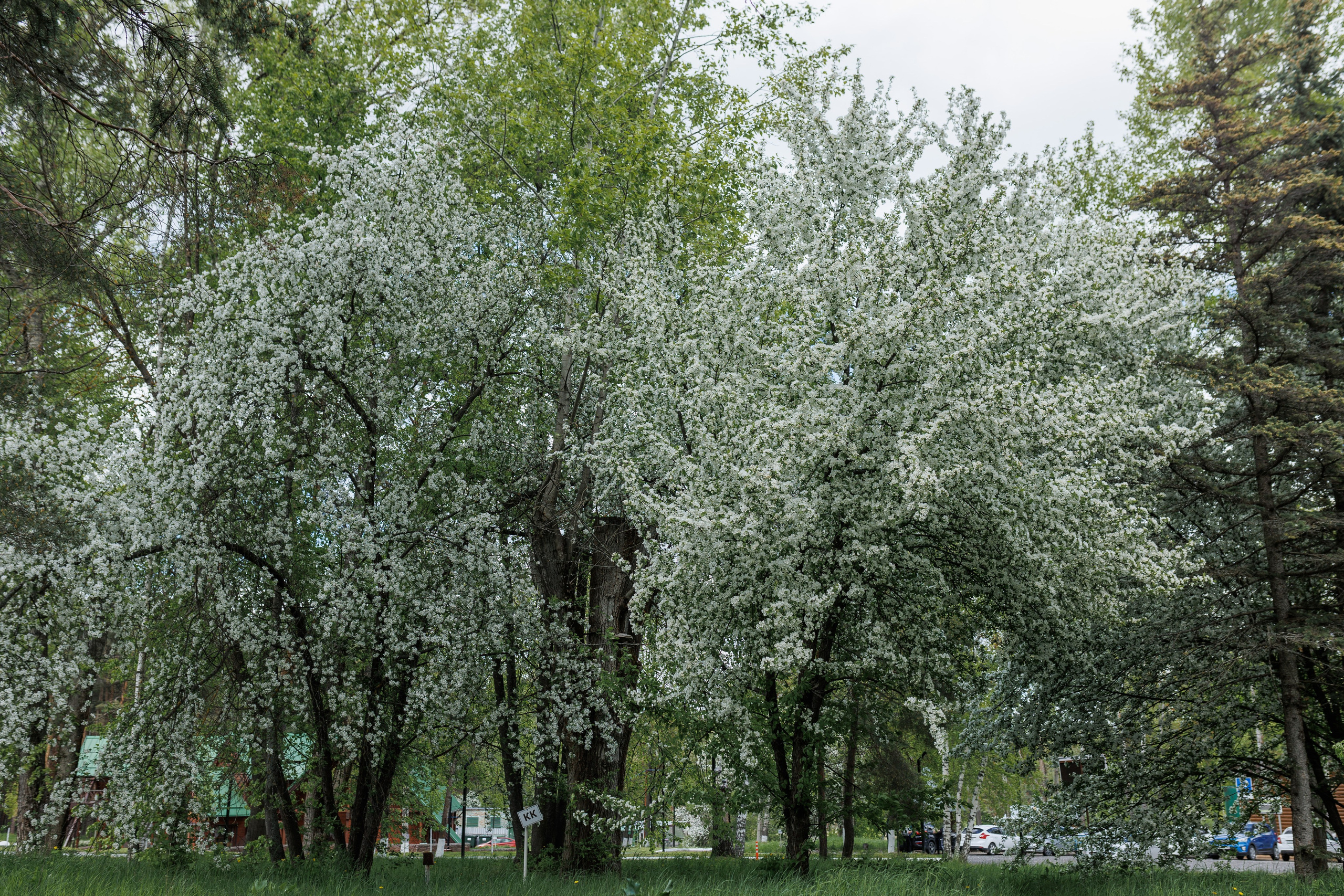 База отдыха «Металлург». Фотограф городских и семейных событий в Нижнем Новгороде Артем Карпухин