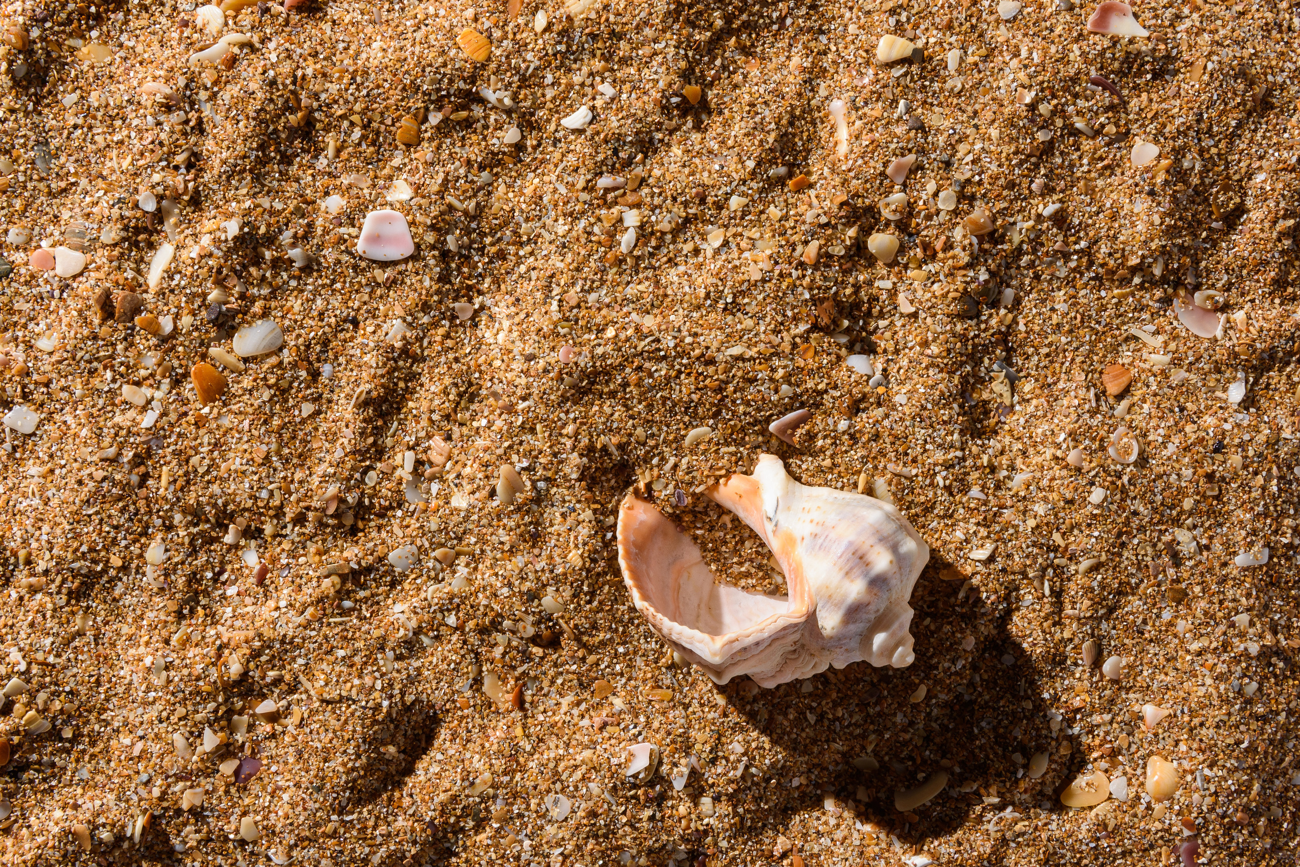 Предметная. Профессиональный фотограф для вашего бизнеса. Дмитрий Соломахин
