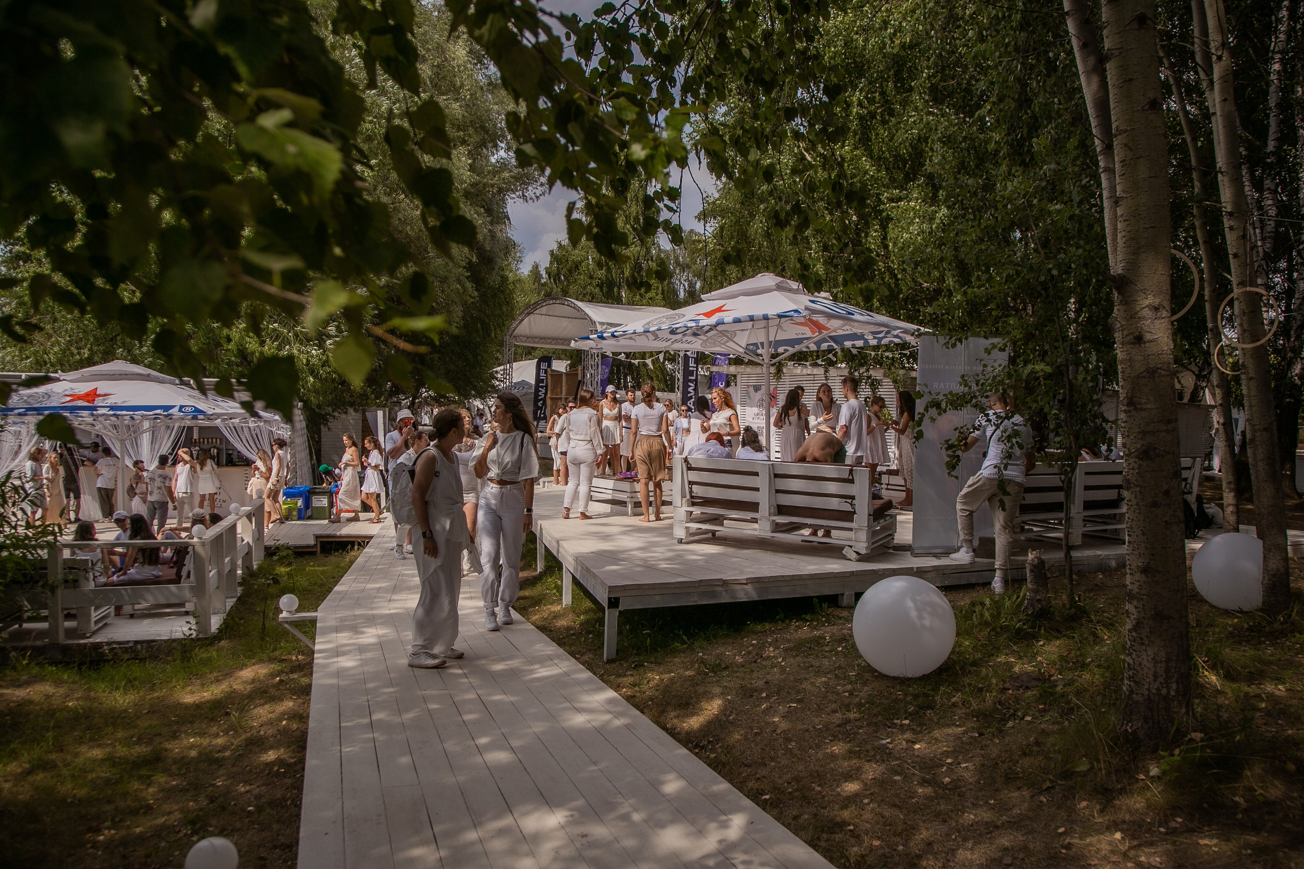 Ecstatic Sensation White в парке Берёзы. Семейный и портретный фотограф, Москва, Калуга. Анастасия Андрексон