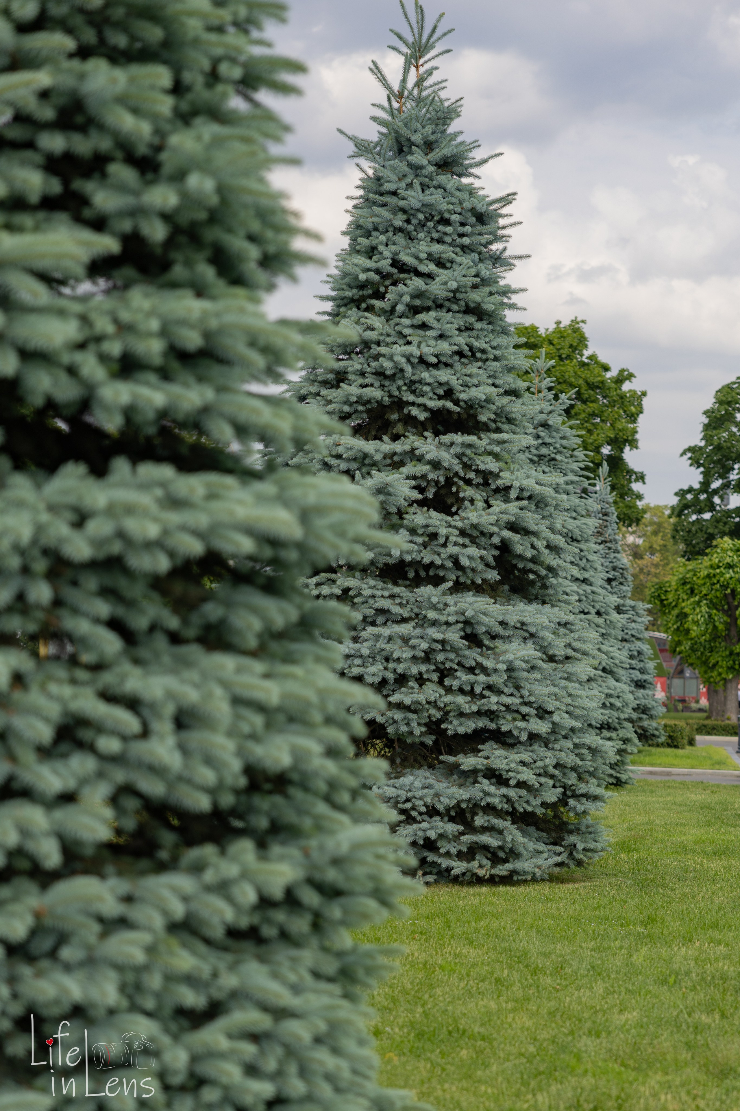 ВДНХ. День России. Фотограф, получающий удовольствие от своей работы