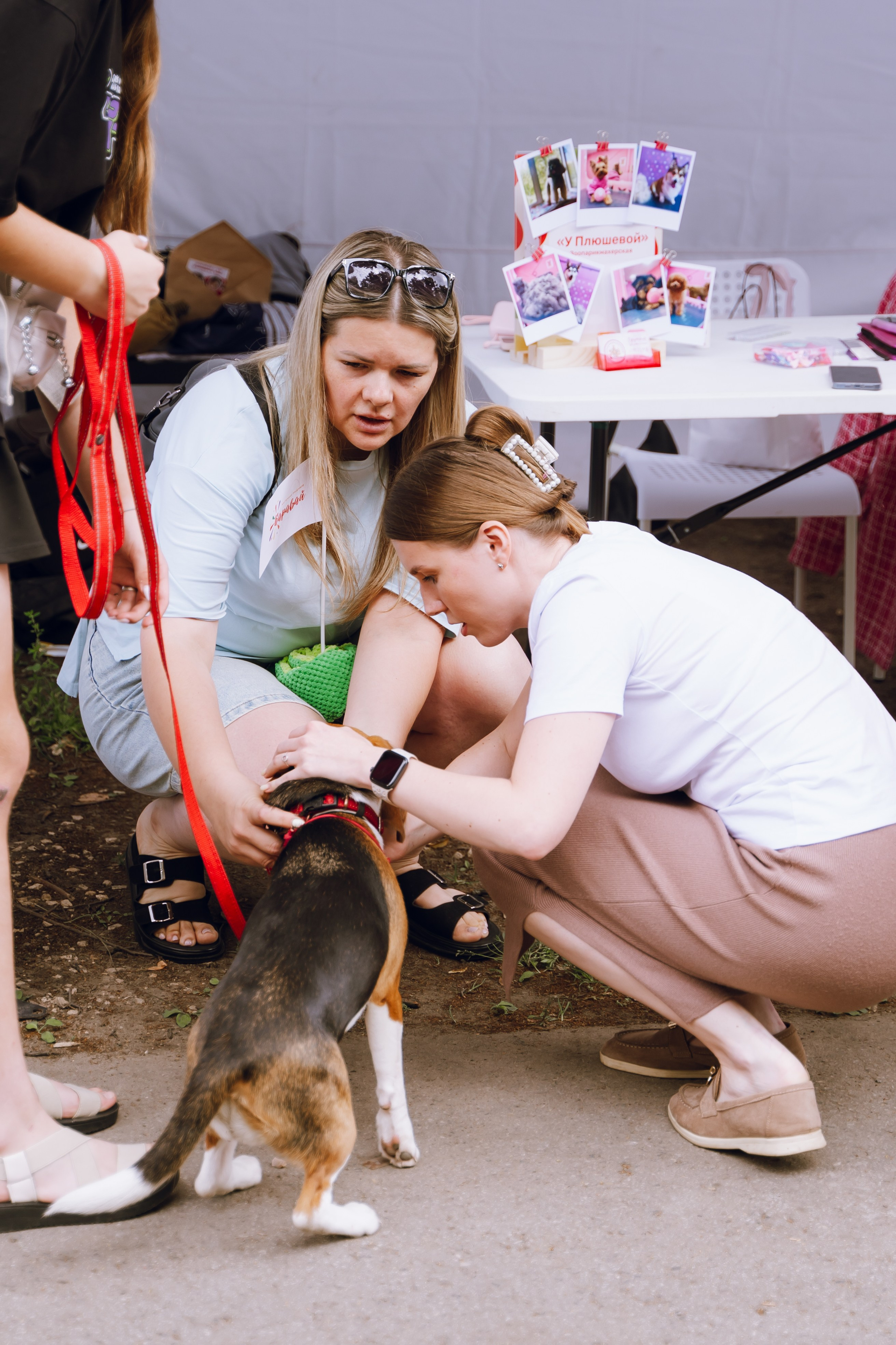 Площадка фестиваля «Мампус и его друзья» в Лесопарке 2025. Фотограф Надежда Погребняк | Рязань | Москва