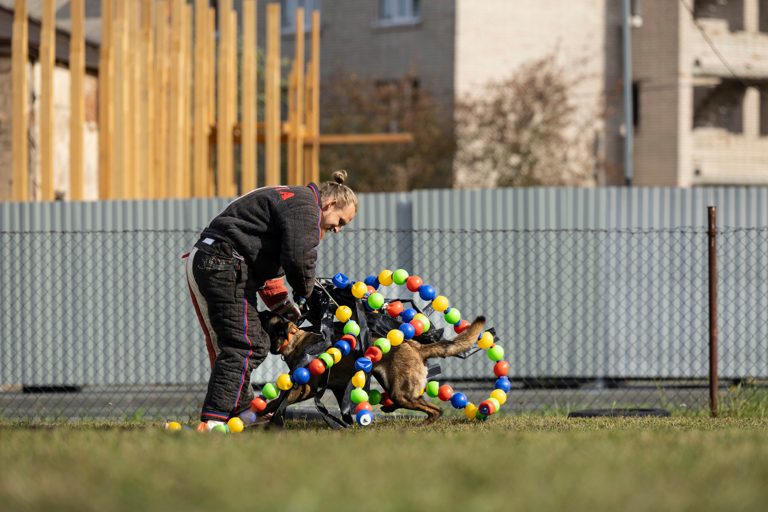 Испытания по Мондьорингу г. Пушкин. Фотограф-анималист Анна Маринич