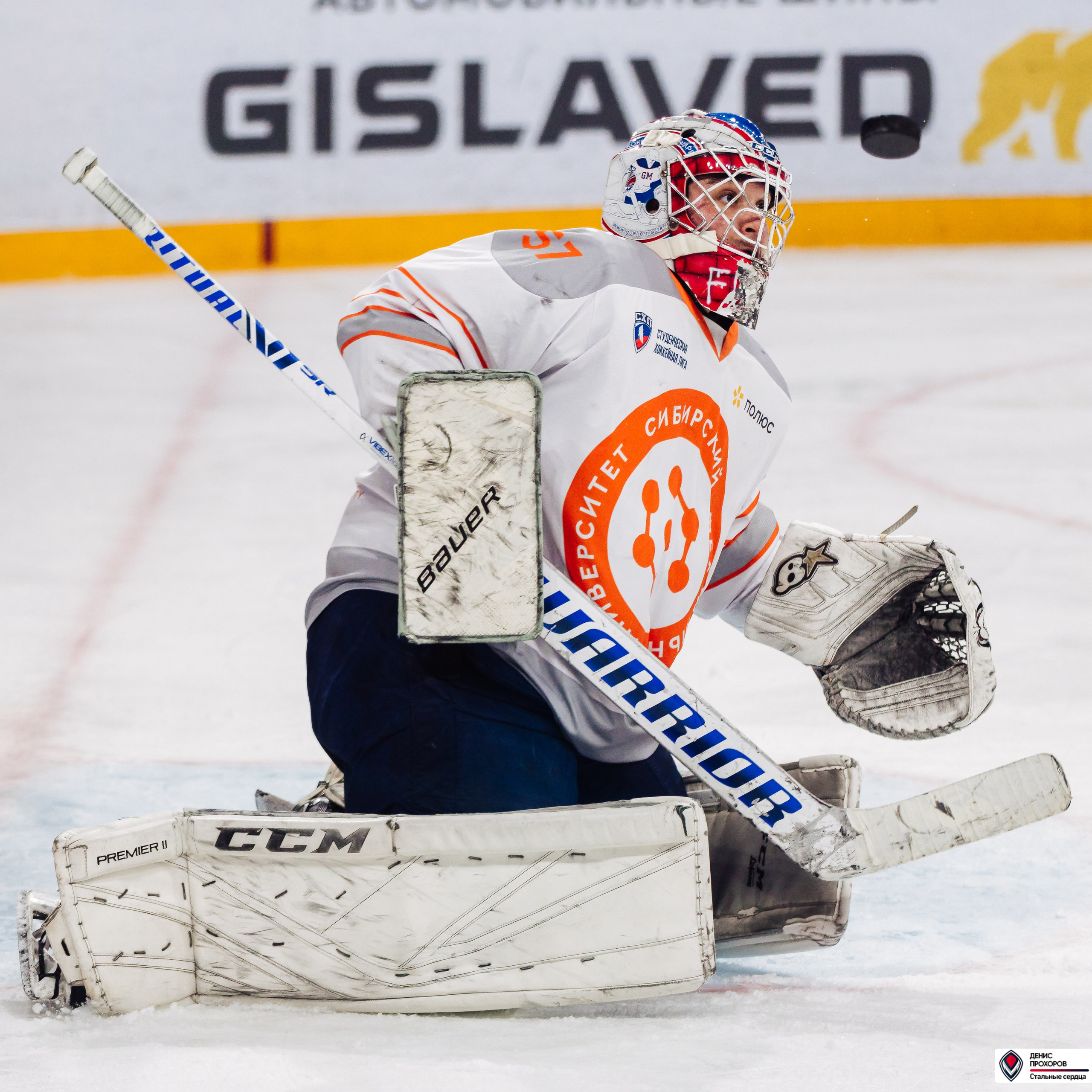 «Стальные сердца» — «СФУ» // 07-08.02.25. Денис Прохоров Фотограф в г. Магнитогорск