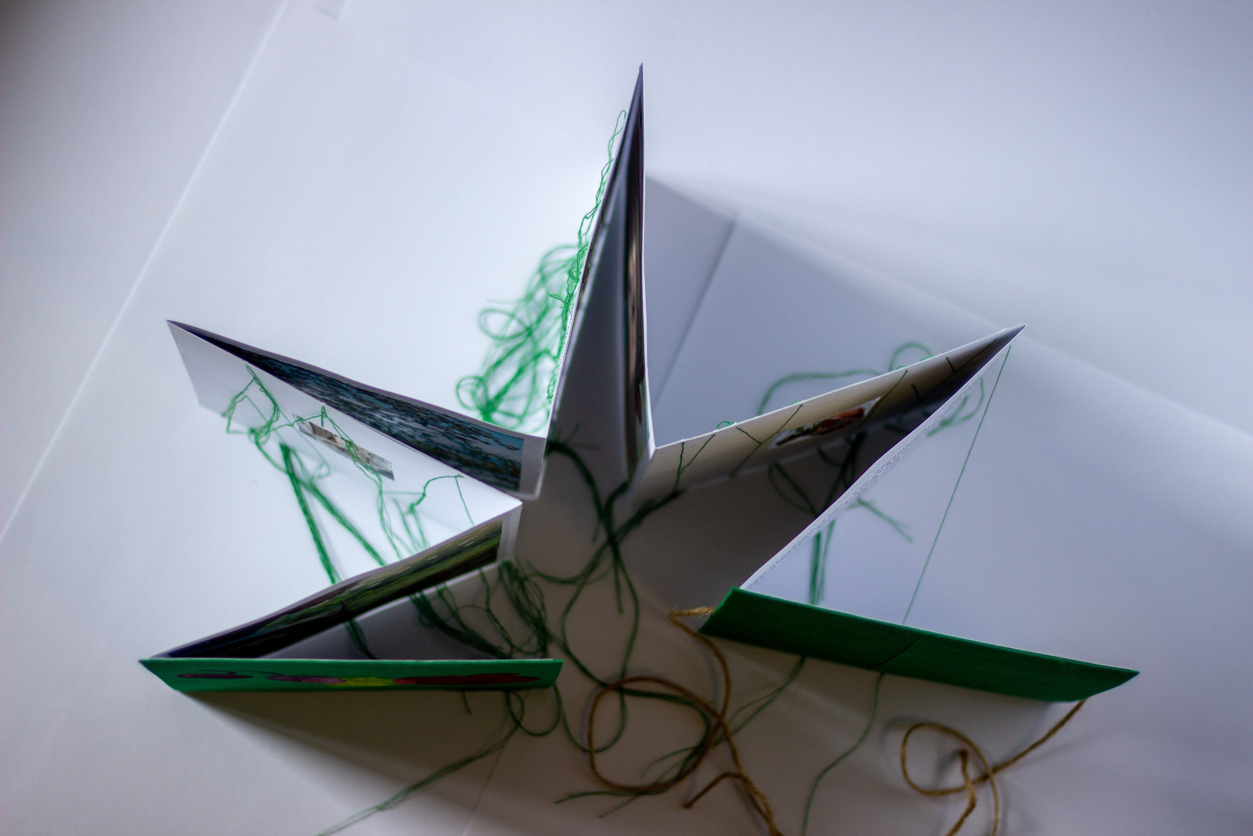 Плодовые (2024 — в процессе). Julia Gorbunova