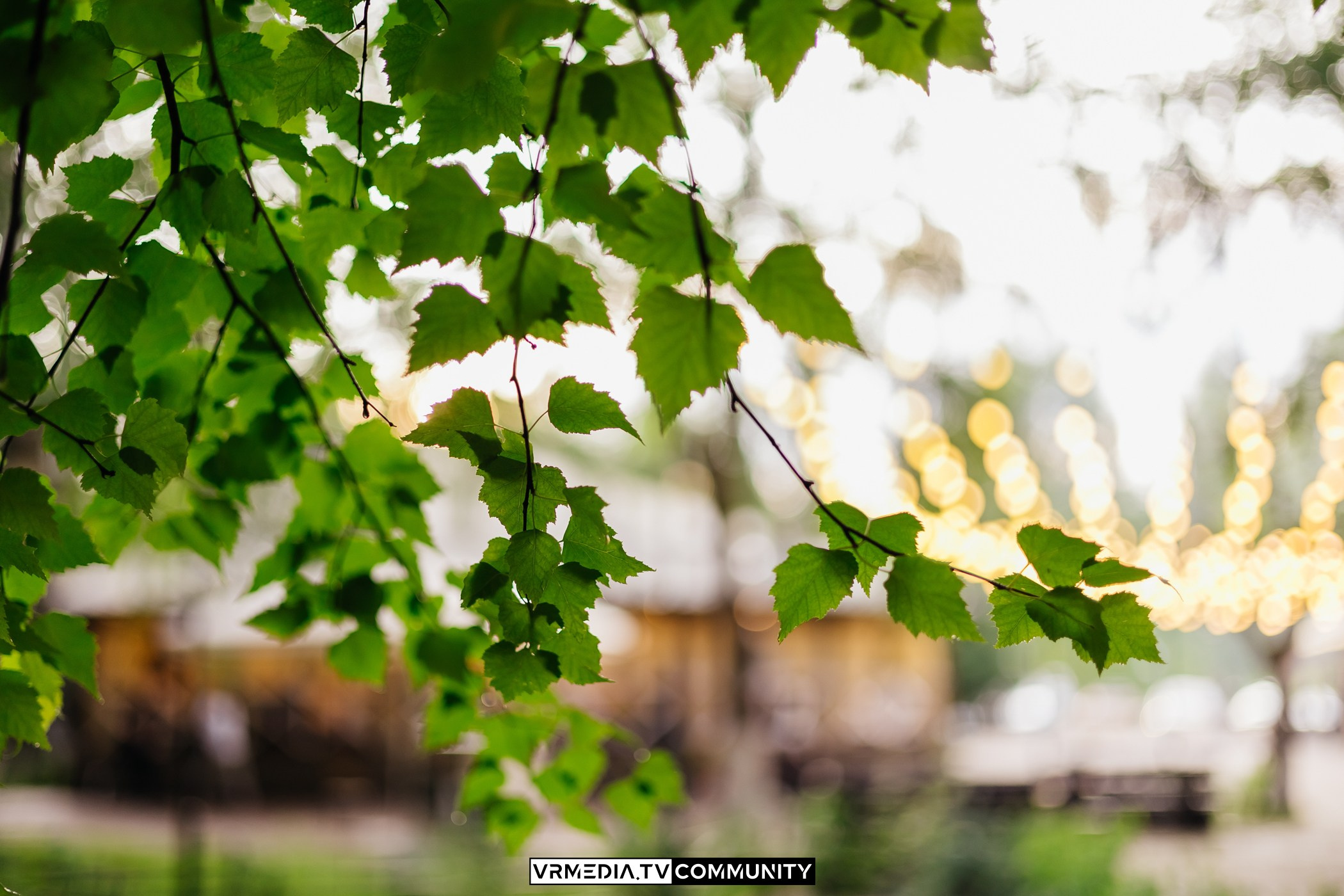 В гостях «У Петровича»