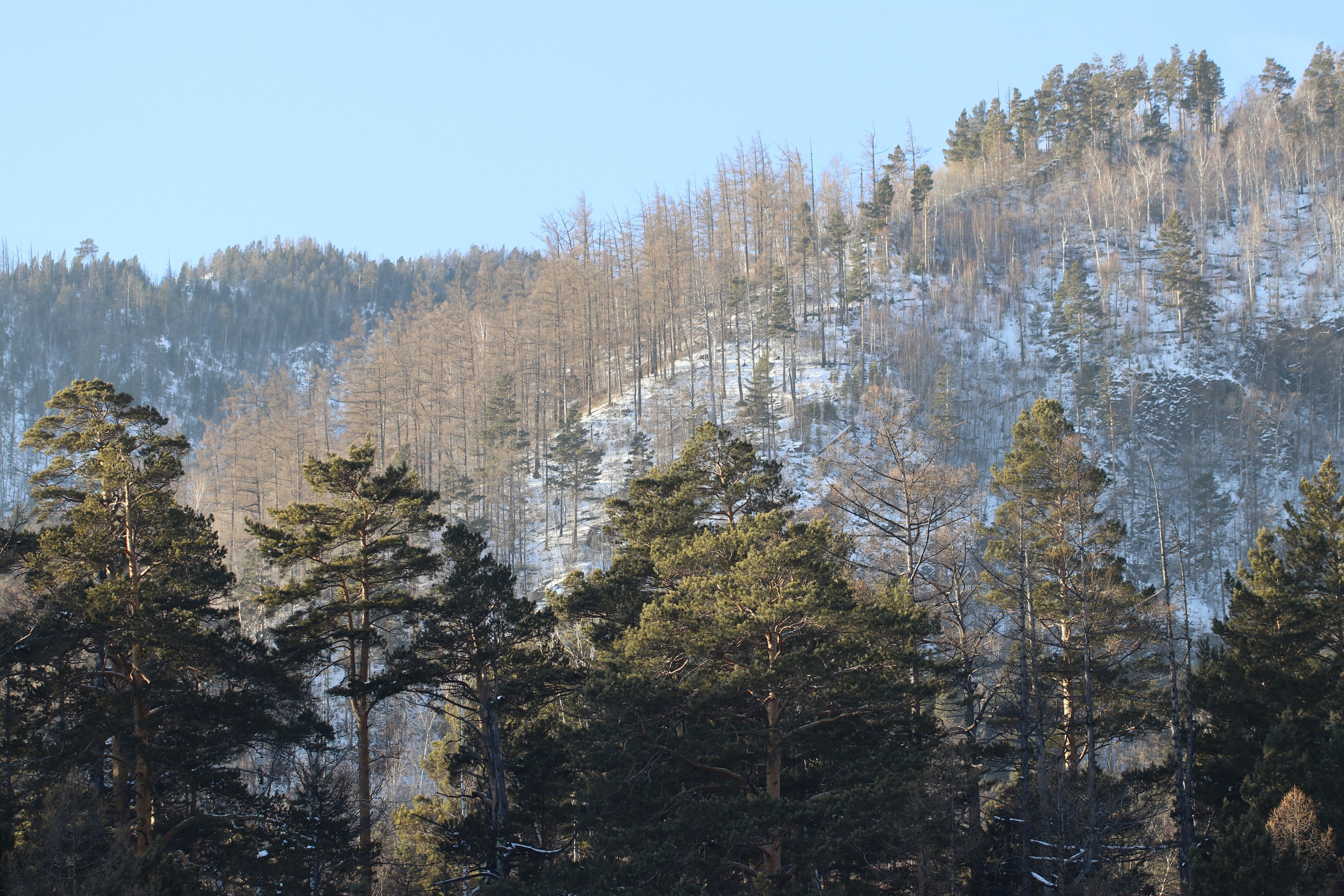 Аршан. Январь 2022. Путешественник-фотограф из Санкт-Петербурга Татьяна Свистулина