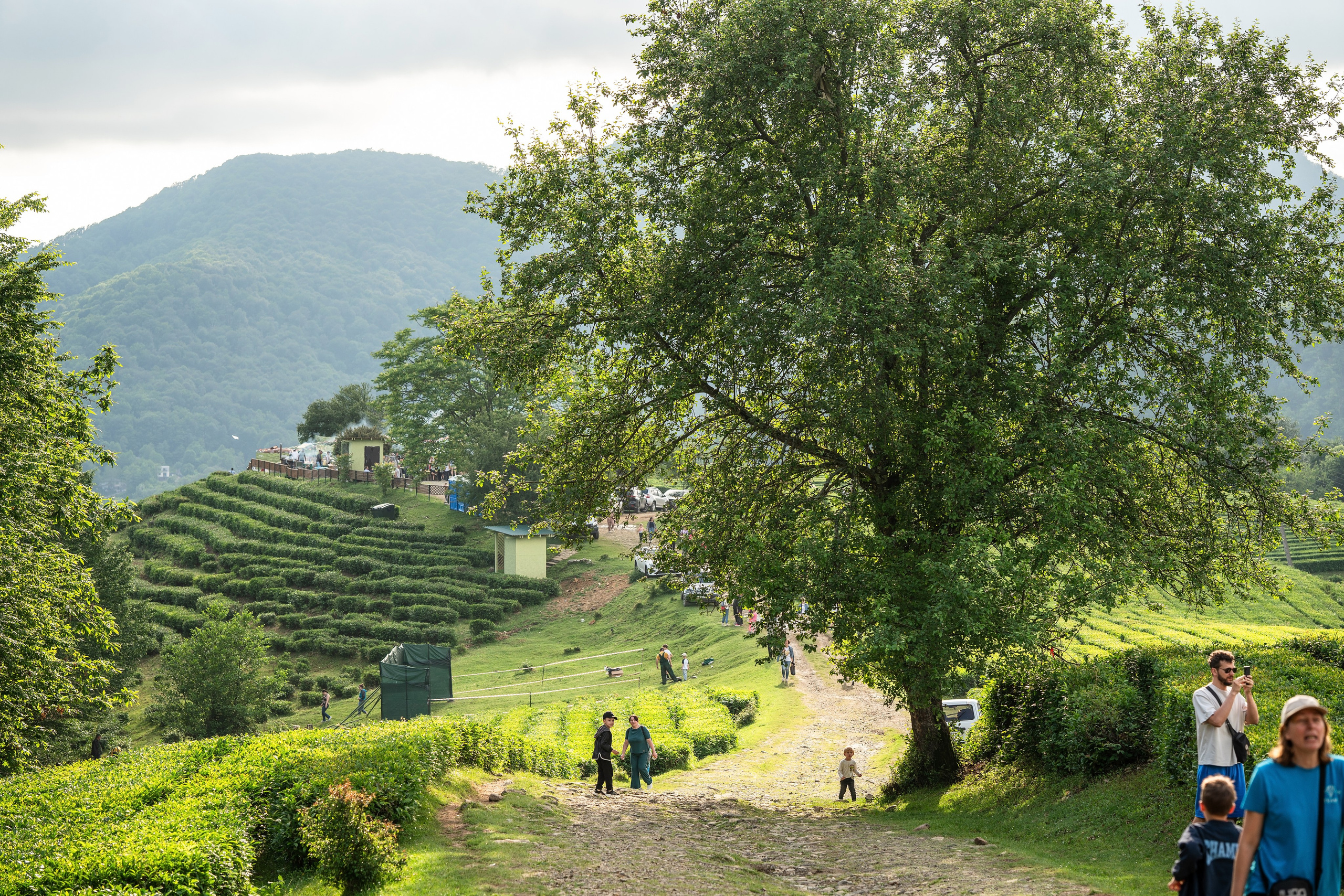 Фотограф на праздник Сочи. Фотограф Сочи