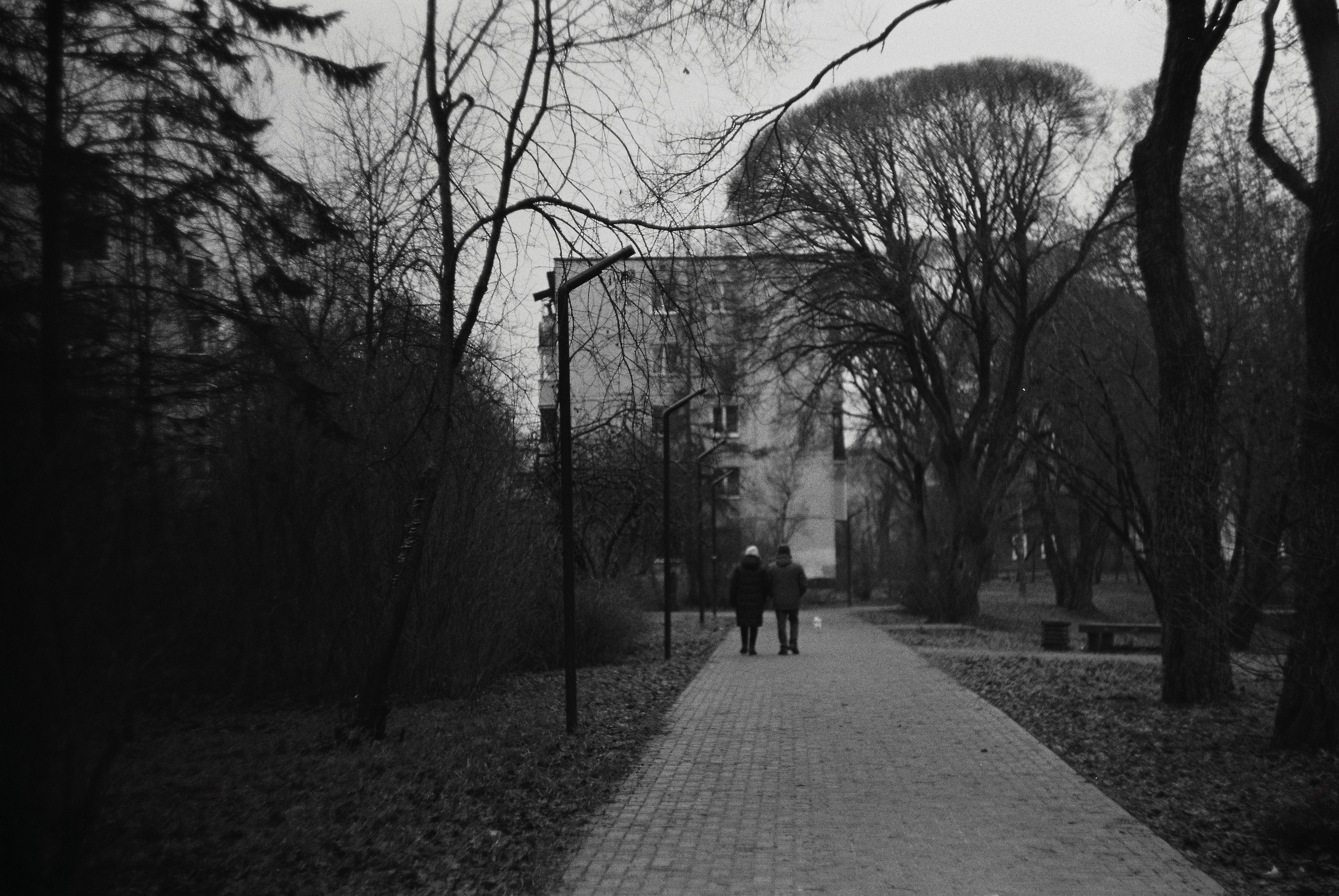 Зенит ЕТ с объективом Гелиос 44-М4 и черно-белой пленкой Ilford PAN 400 ISO