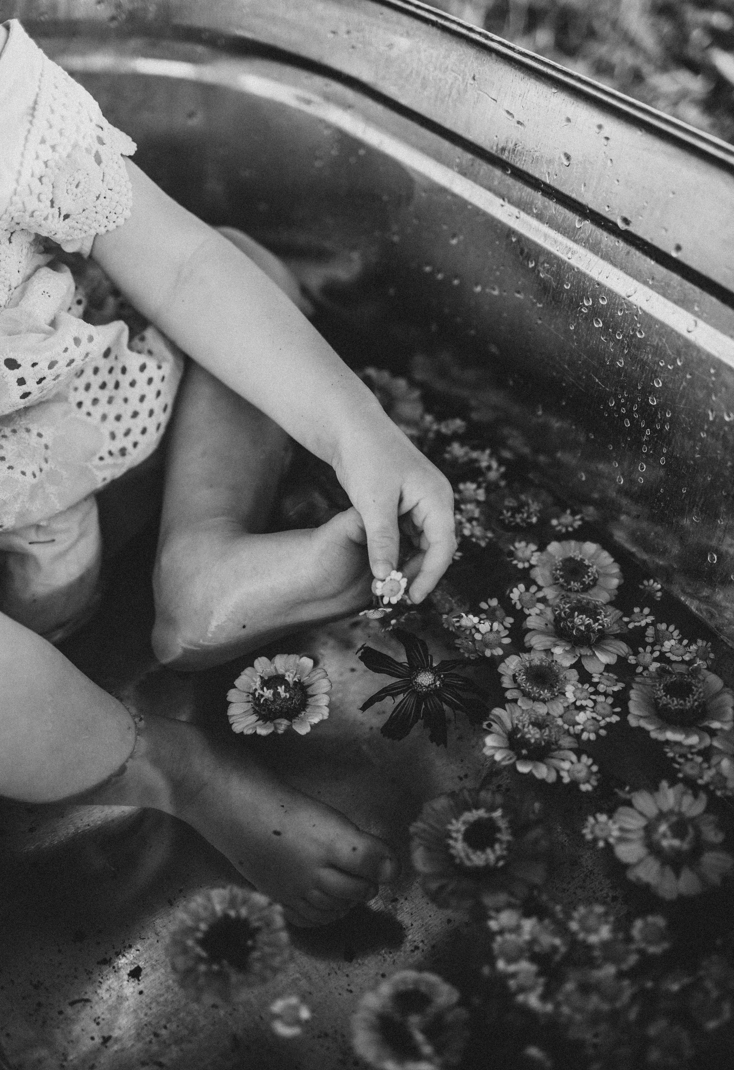 Цветочное настроение. Фотограф Алевтина Матешук