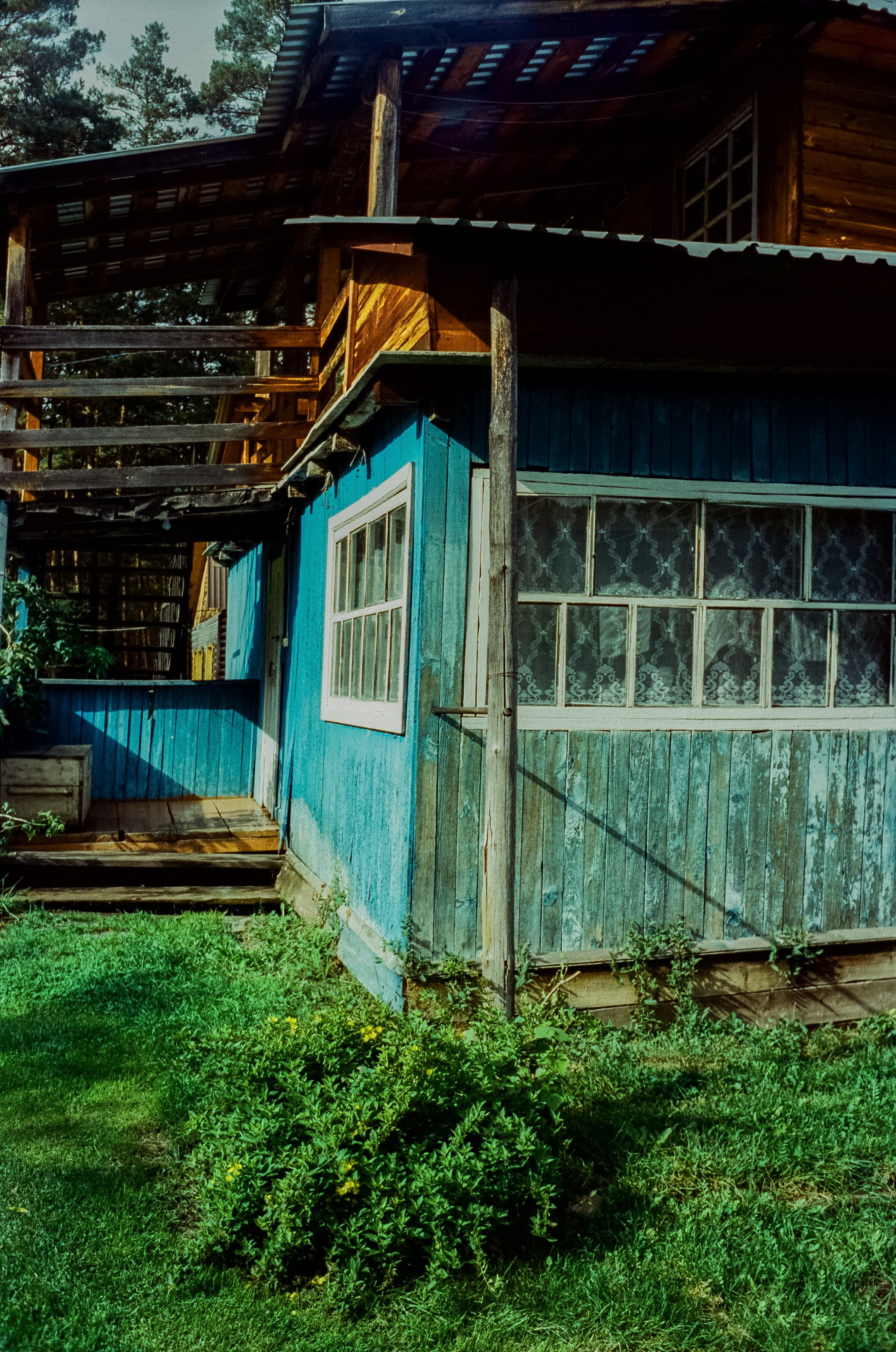 Горно-Алтайский ботанический сад / 13 сентября 2024 года / Minox 35 GT / SFL 250D