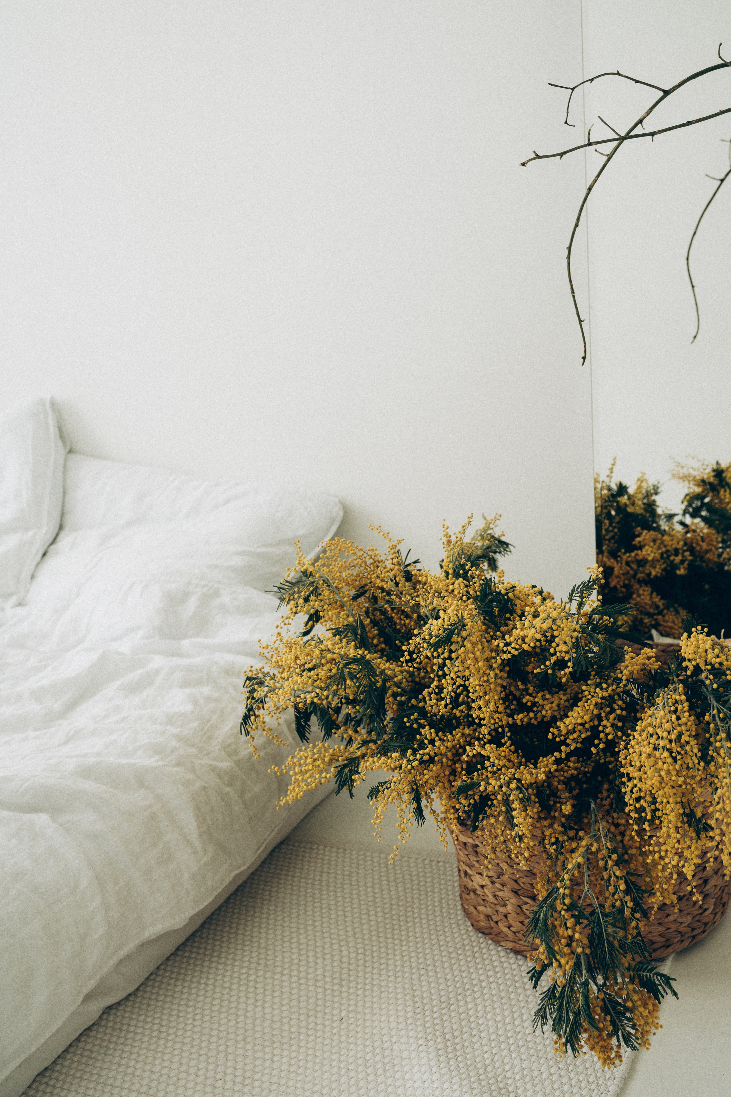 Александра. Свадебный и портретный фотограф Натали Суровцева