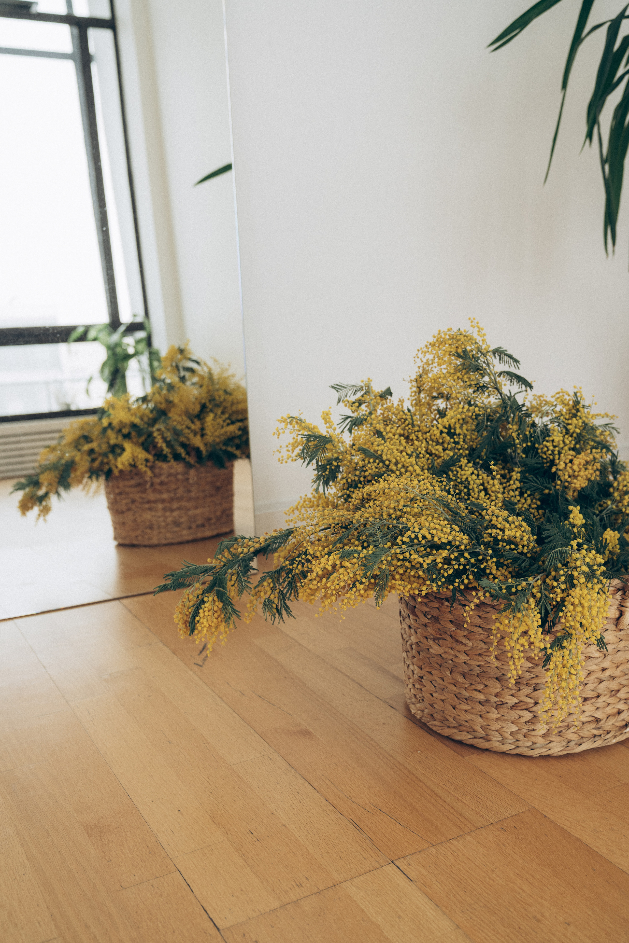 Александра. Свадебный и портретный фотограф Натали Суровцева