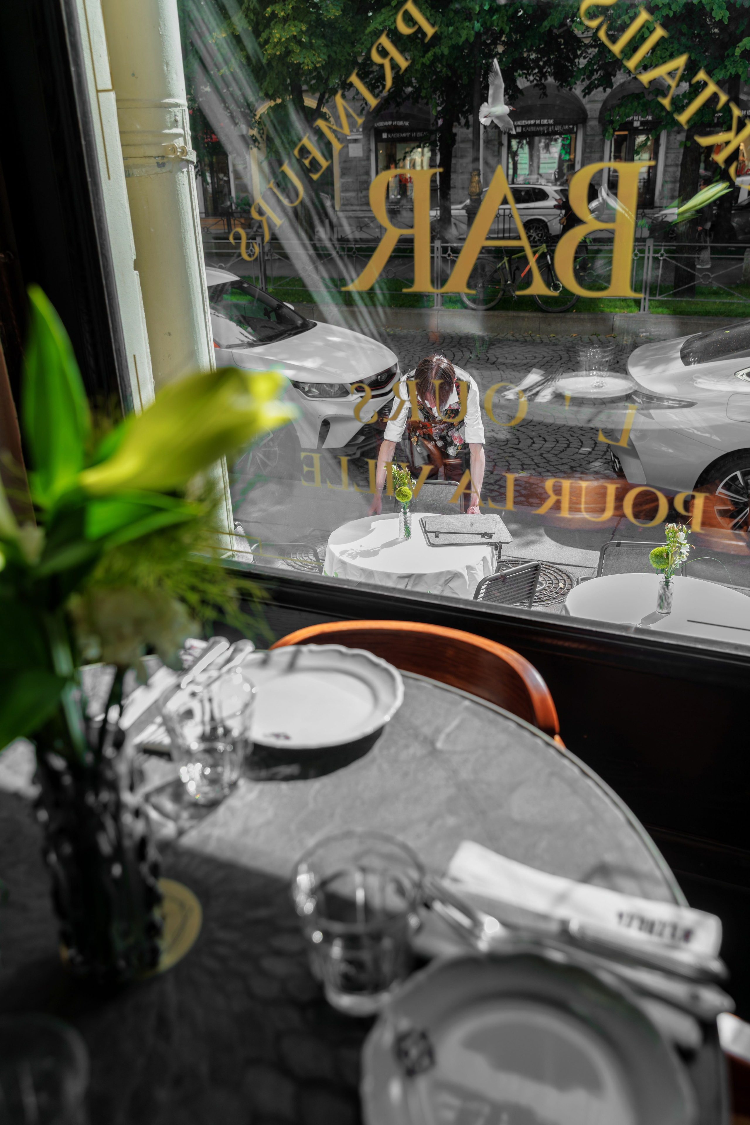 Медведь. Репортажный фотограф в Санкт-Петербурге Жолудев Владислав