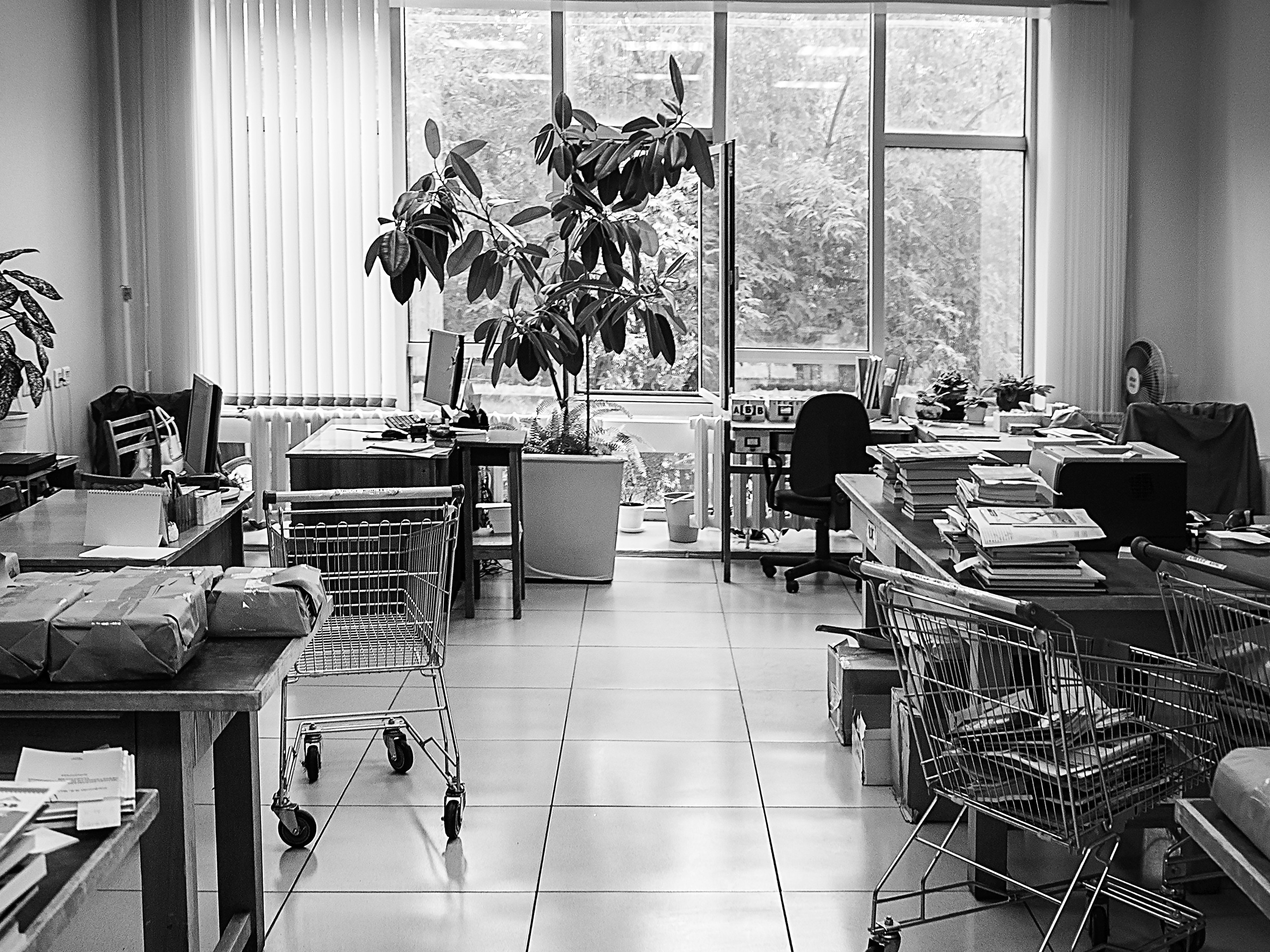 Выставка «Геометрия знания». Фотограф Алексей Школдин. Новосибирск