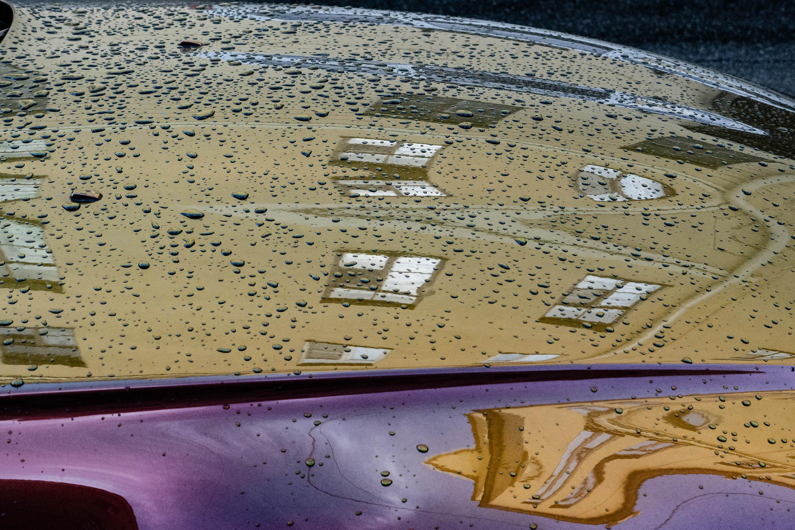 Санкт-Петербург, август 2021. Фотограф Алексей Школдин. Новосибирск