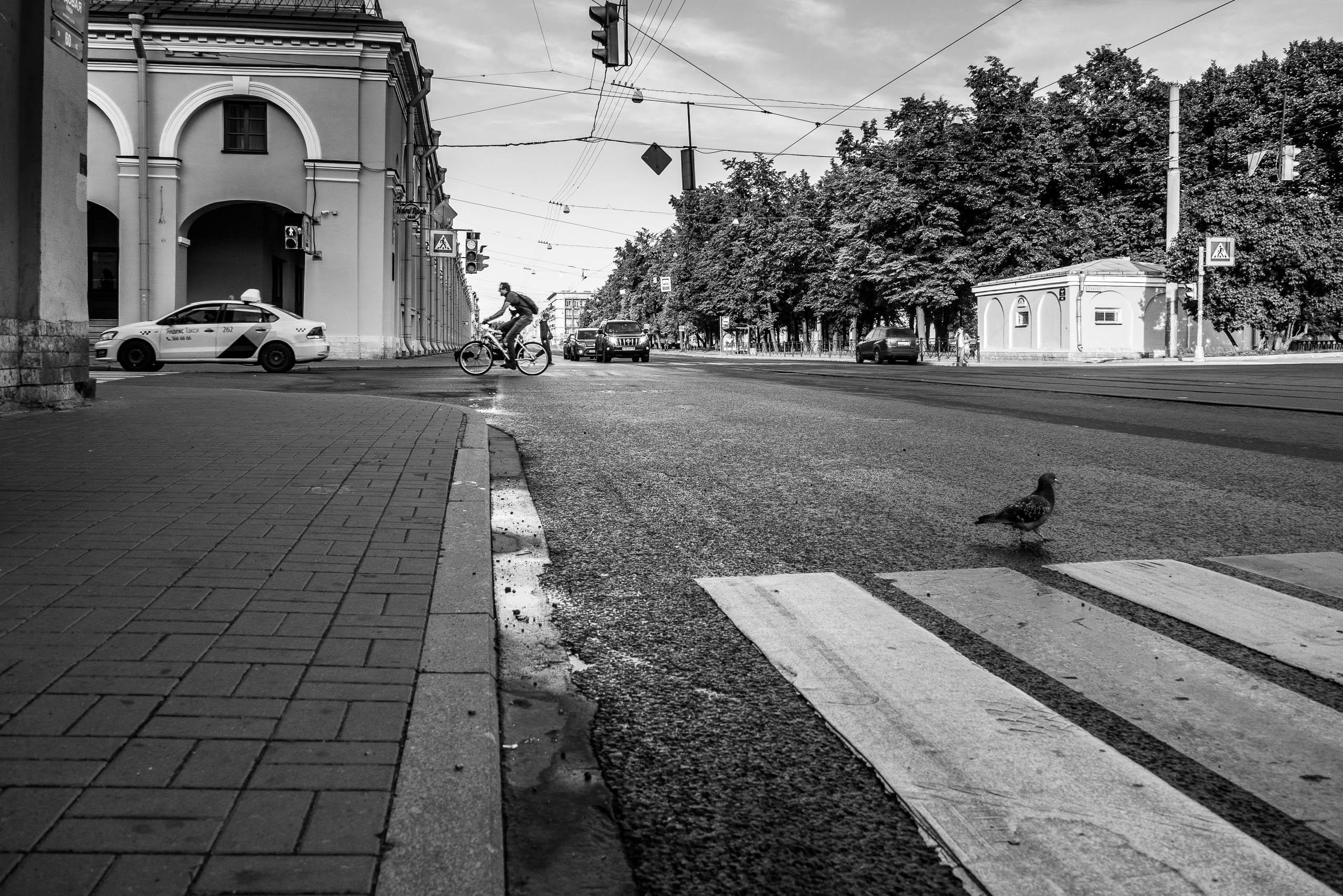 Санкт-Петербург, август 2021. Фотограф Алексей Школдин. Новосибирск