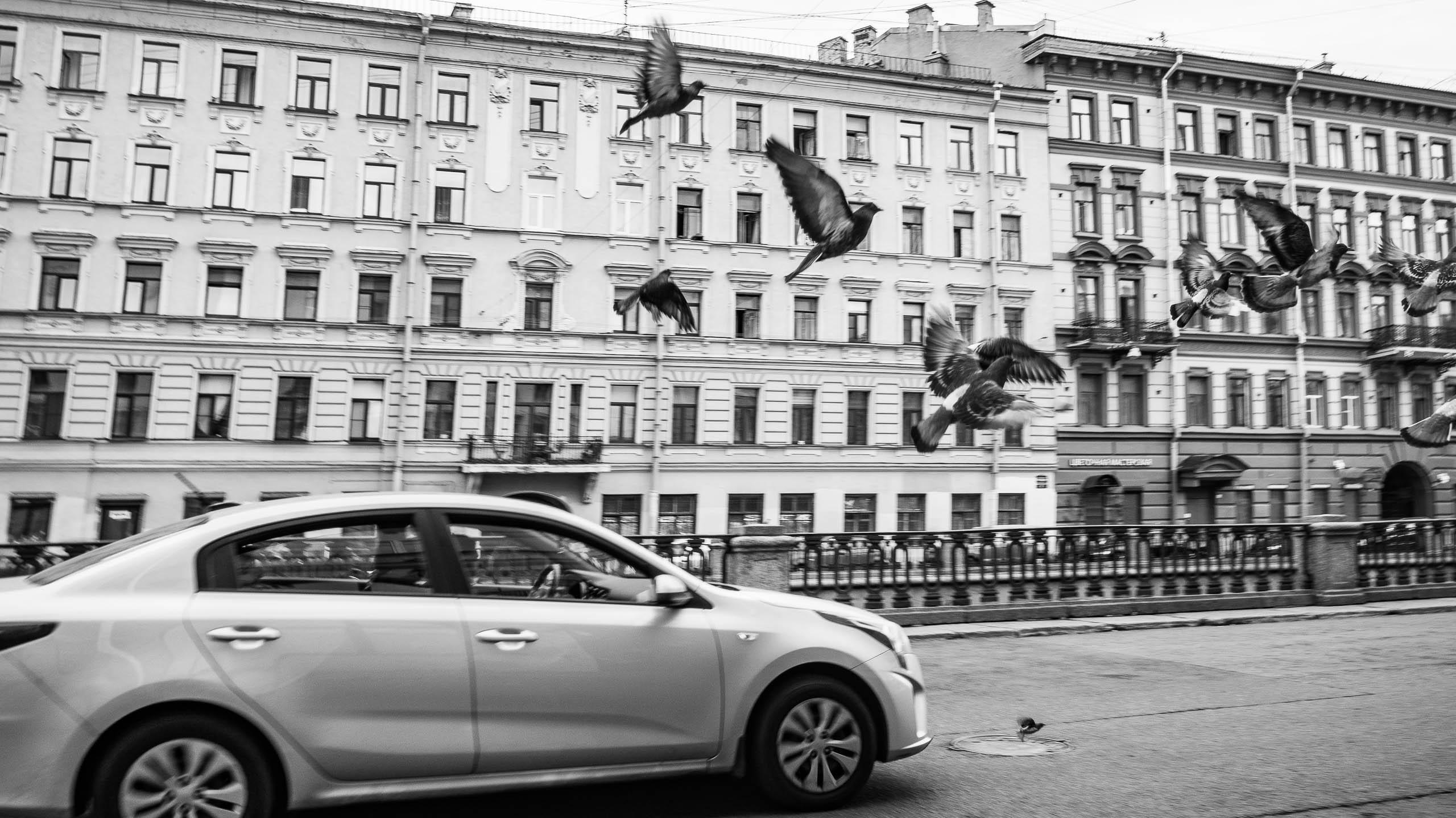 Санкт-Петербург, август 2021. Фотограф Алексей Школдин. Новосибирск