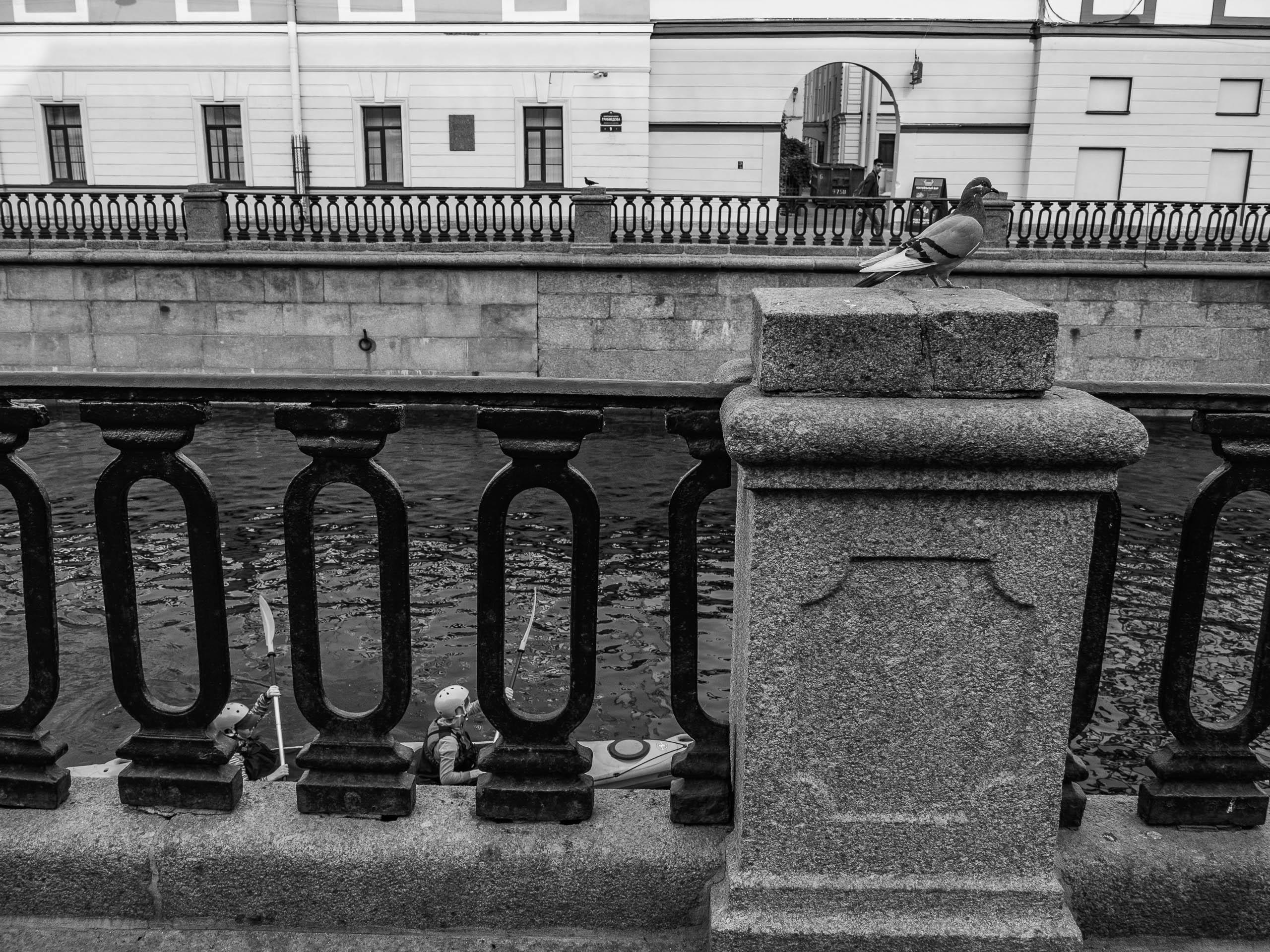 Санкт-Петербург, август 2021. Фотограф Алексей Школдин. Новосибирск