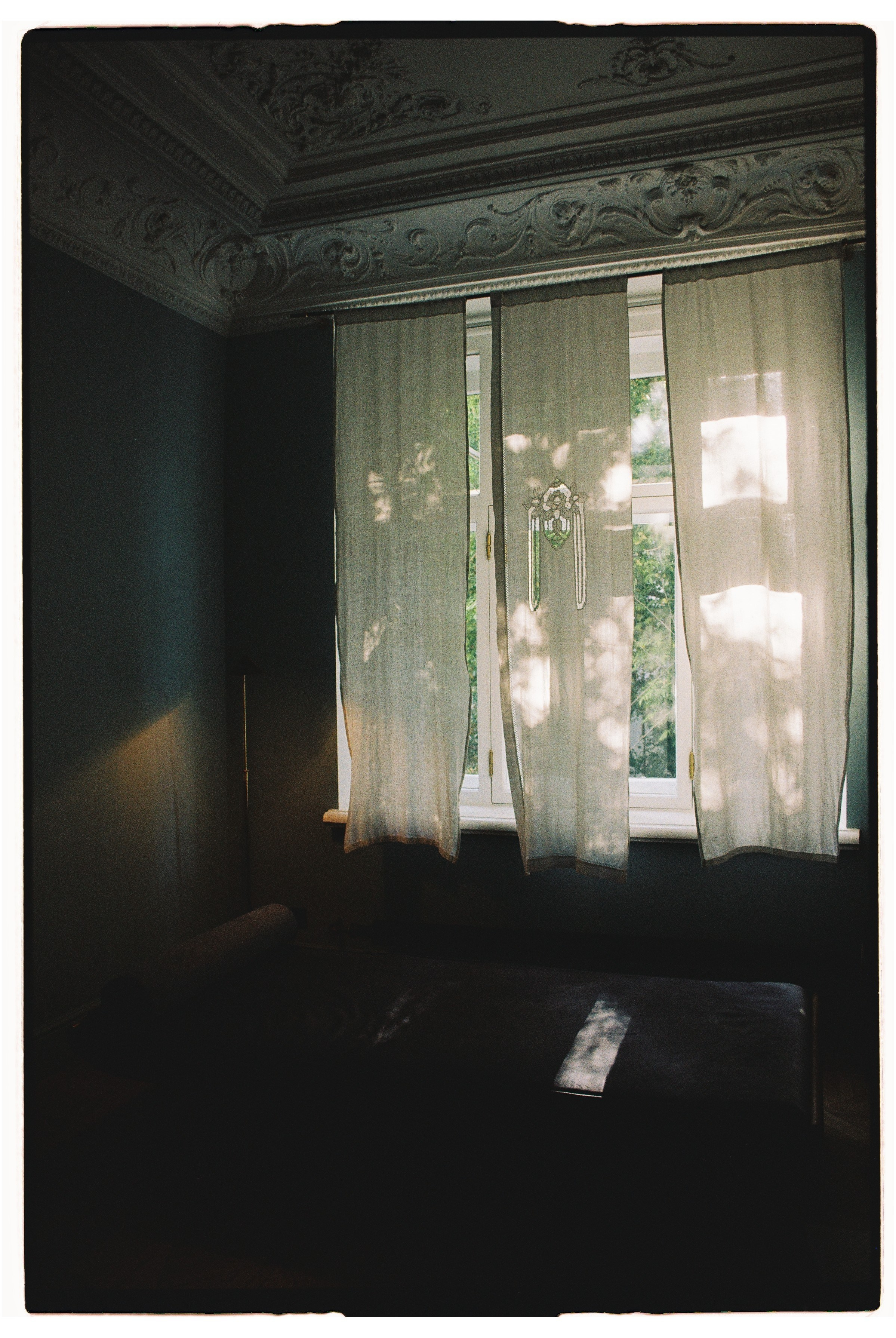 Film dairy. ㅤ