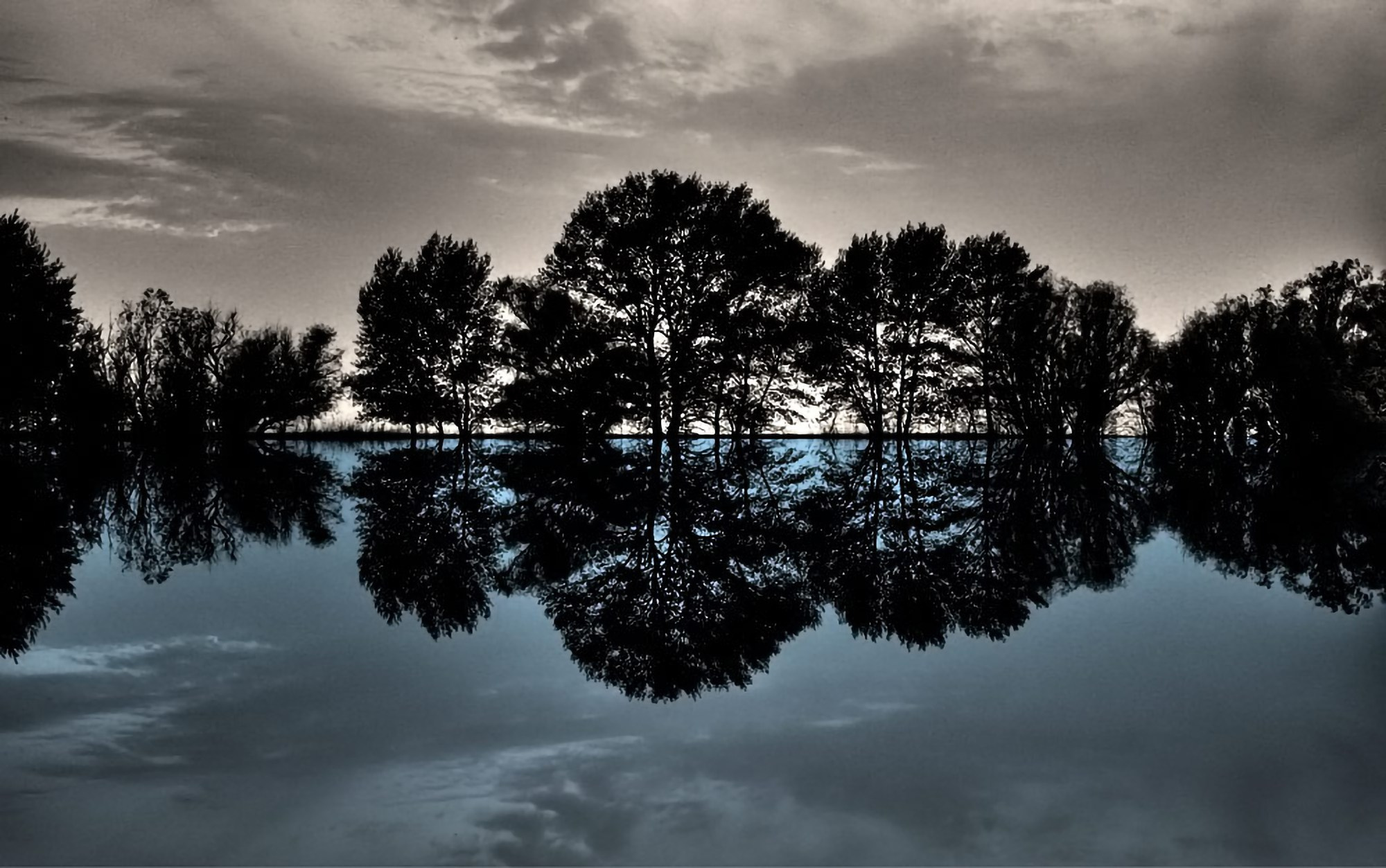 Арт-фото. Михаил Данилов | Фотограф