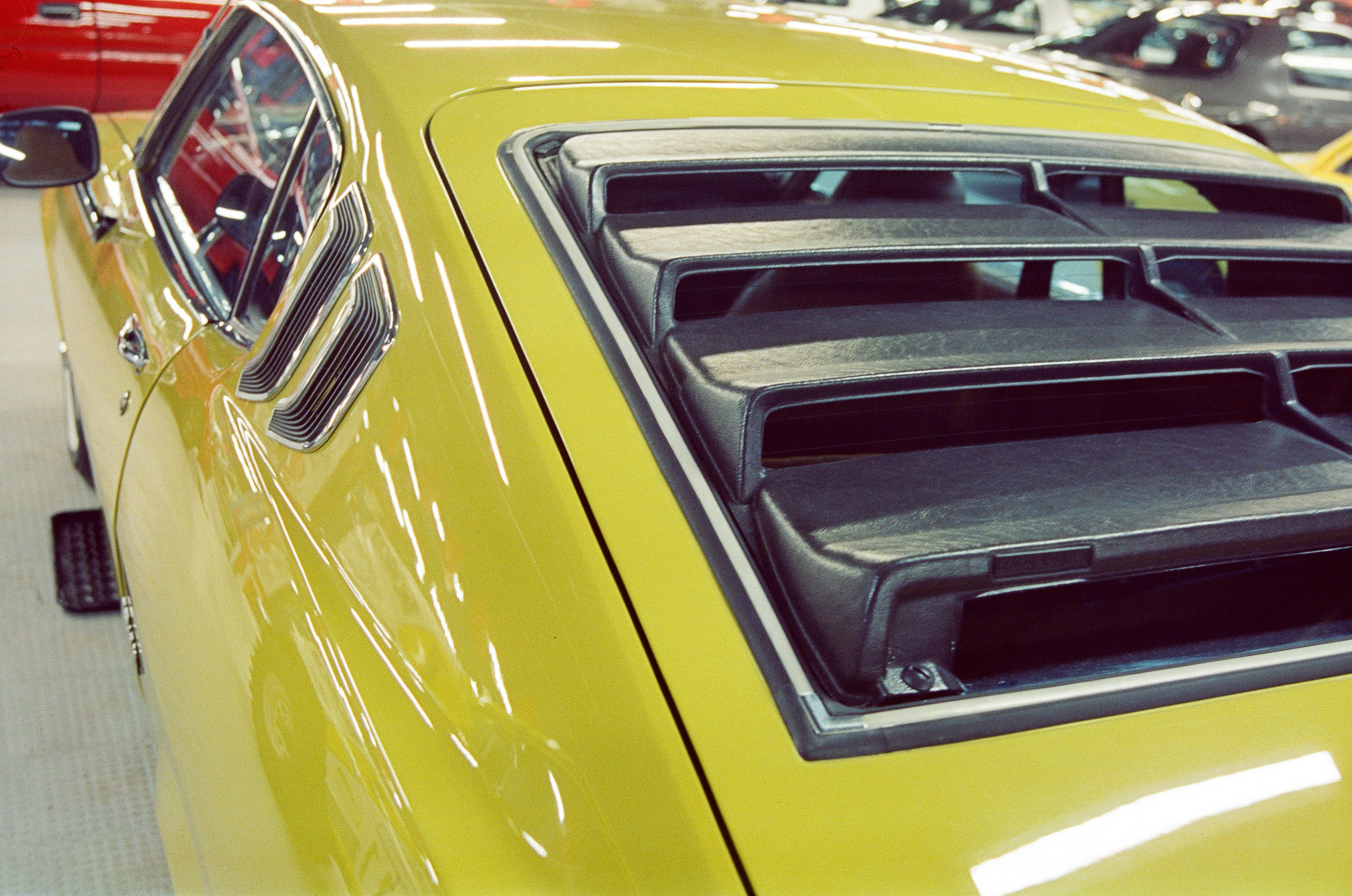 #05пленка. Kodak Vision 3 500T. Minolta Dynax 5. 28-80. Фотограф Наталья Вершинина