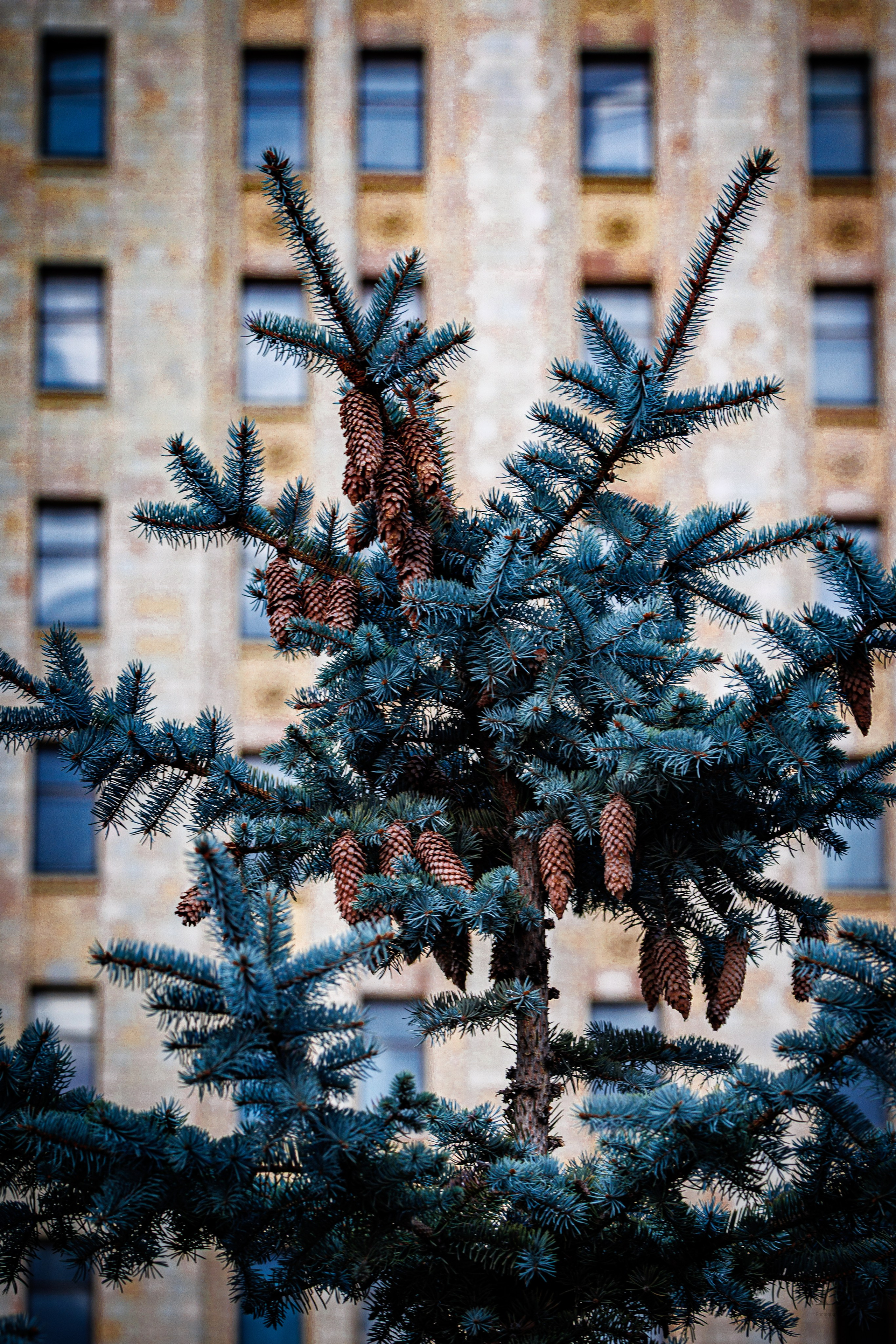 Воробьевы горы. МГУ. Осень 2025. Фотографирую жизнь! Московский фотограф волонтер