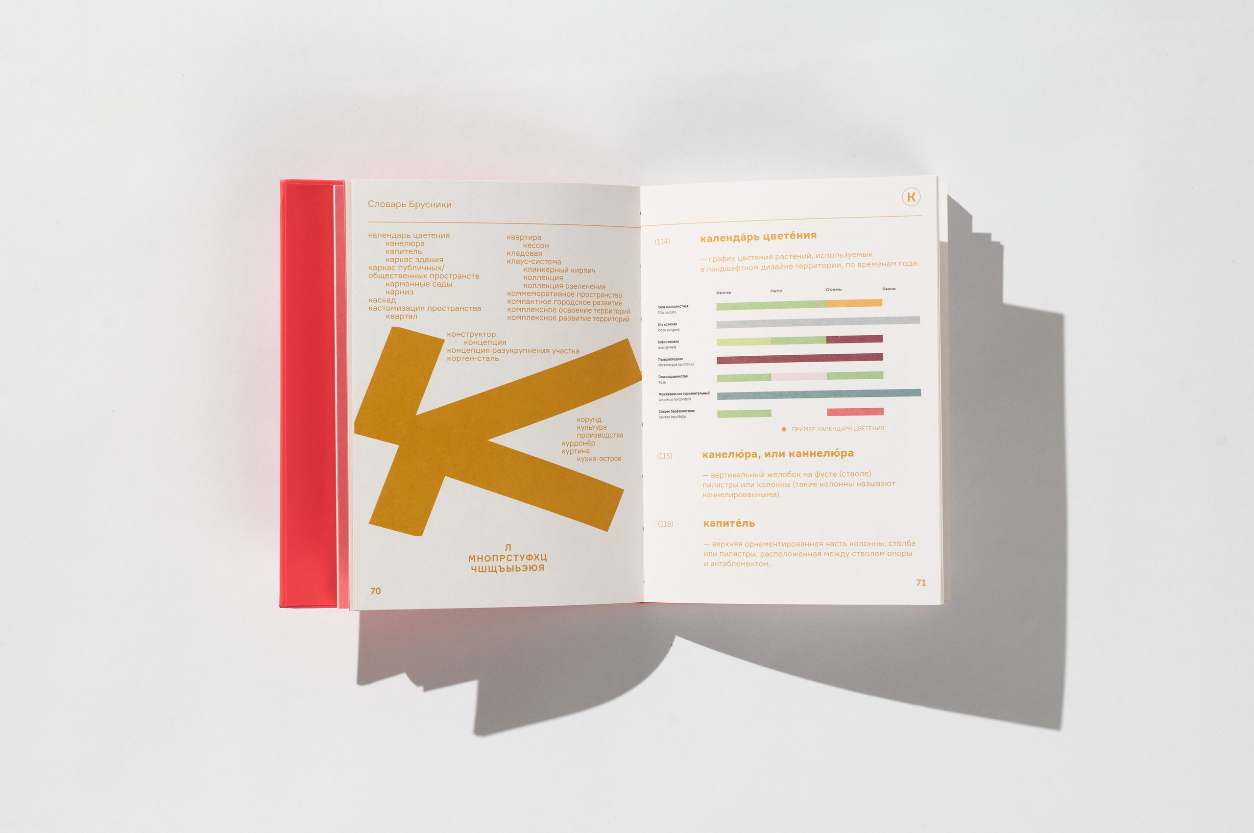 Предметная съемка. Anton came on!