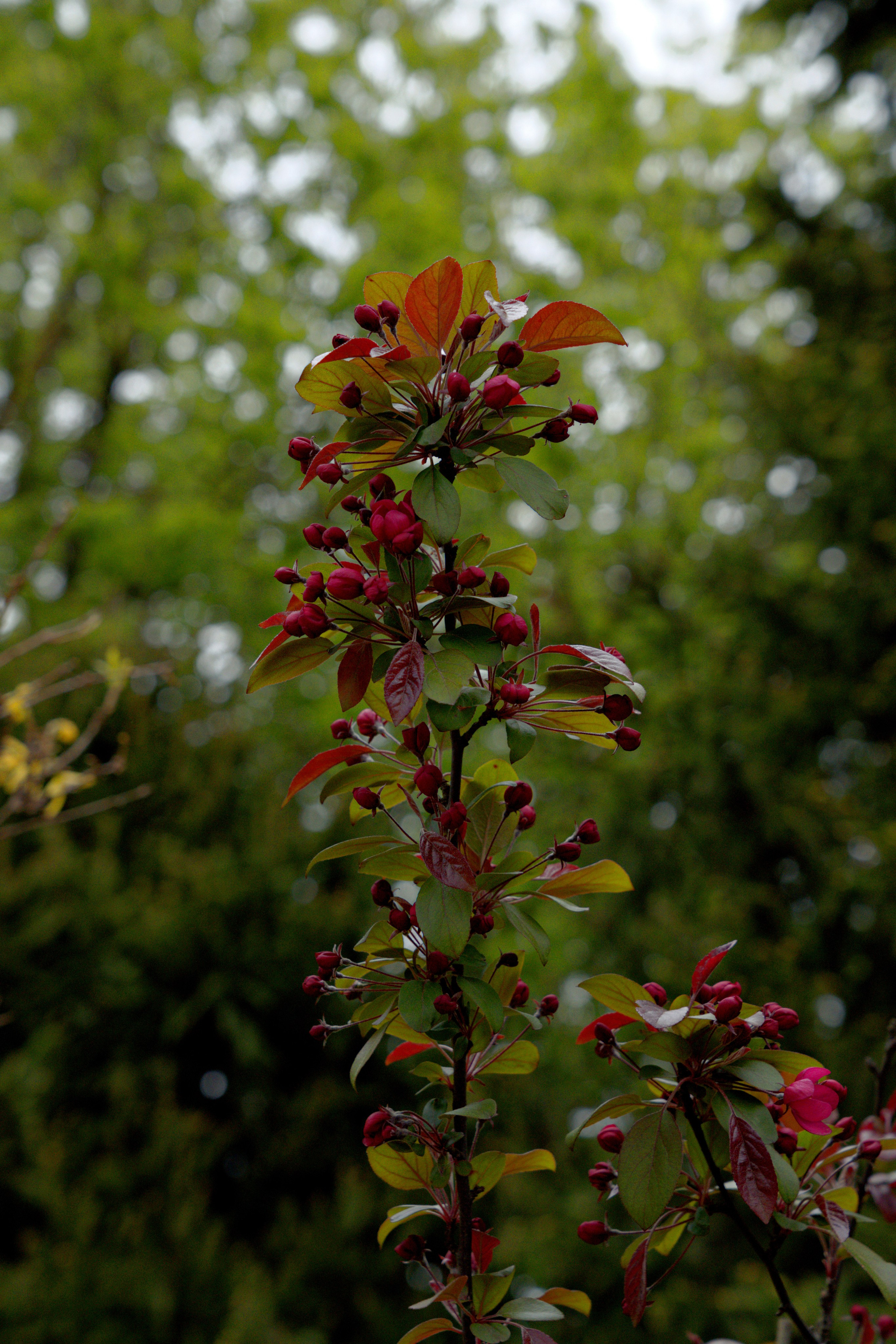 Музей-Заповедник «Царицыно» | 2025. GLAR