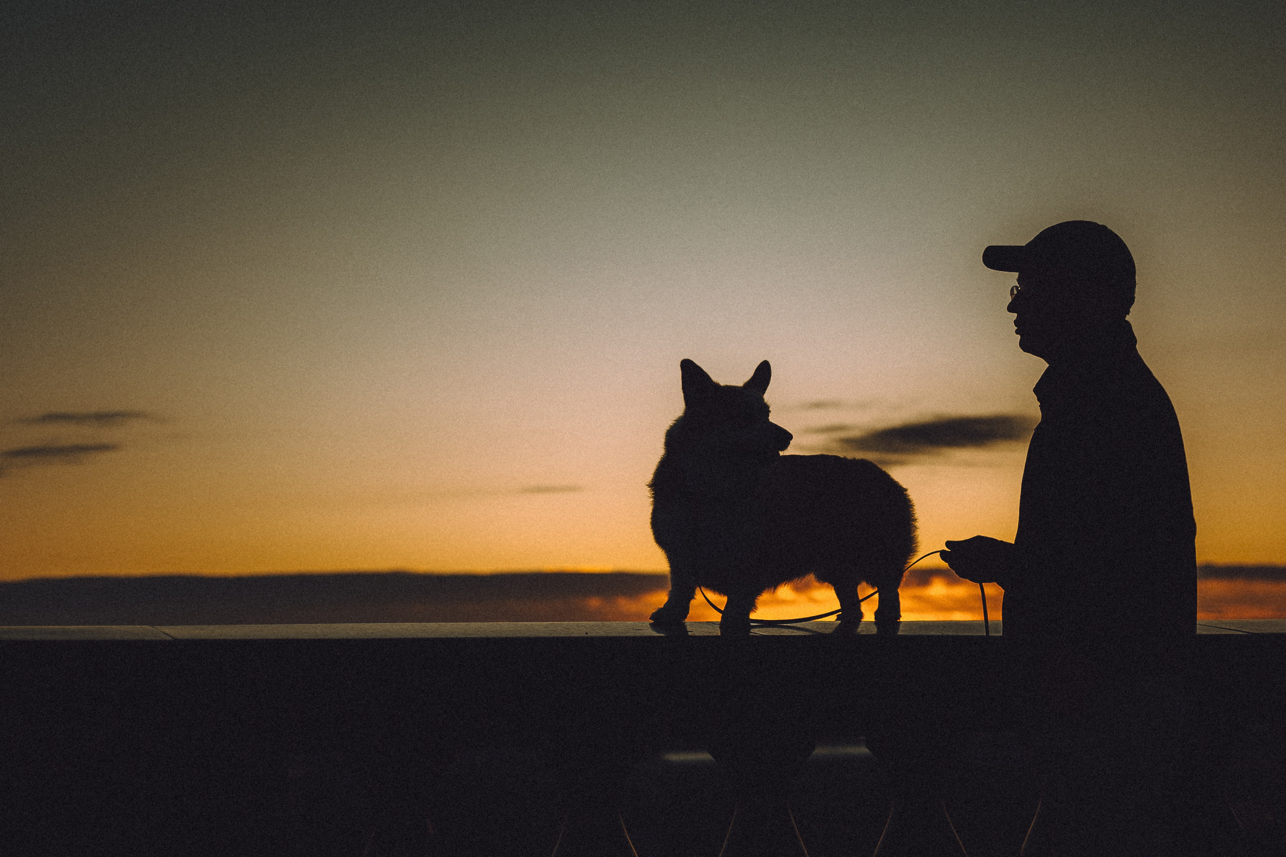 Пуговка и ее семья