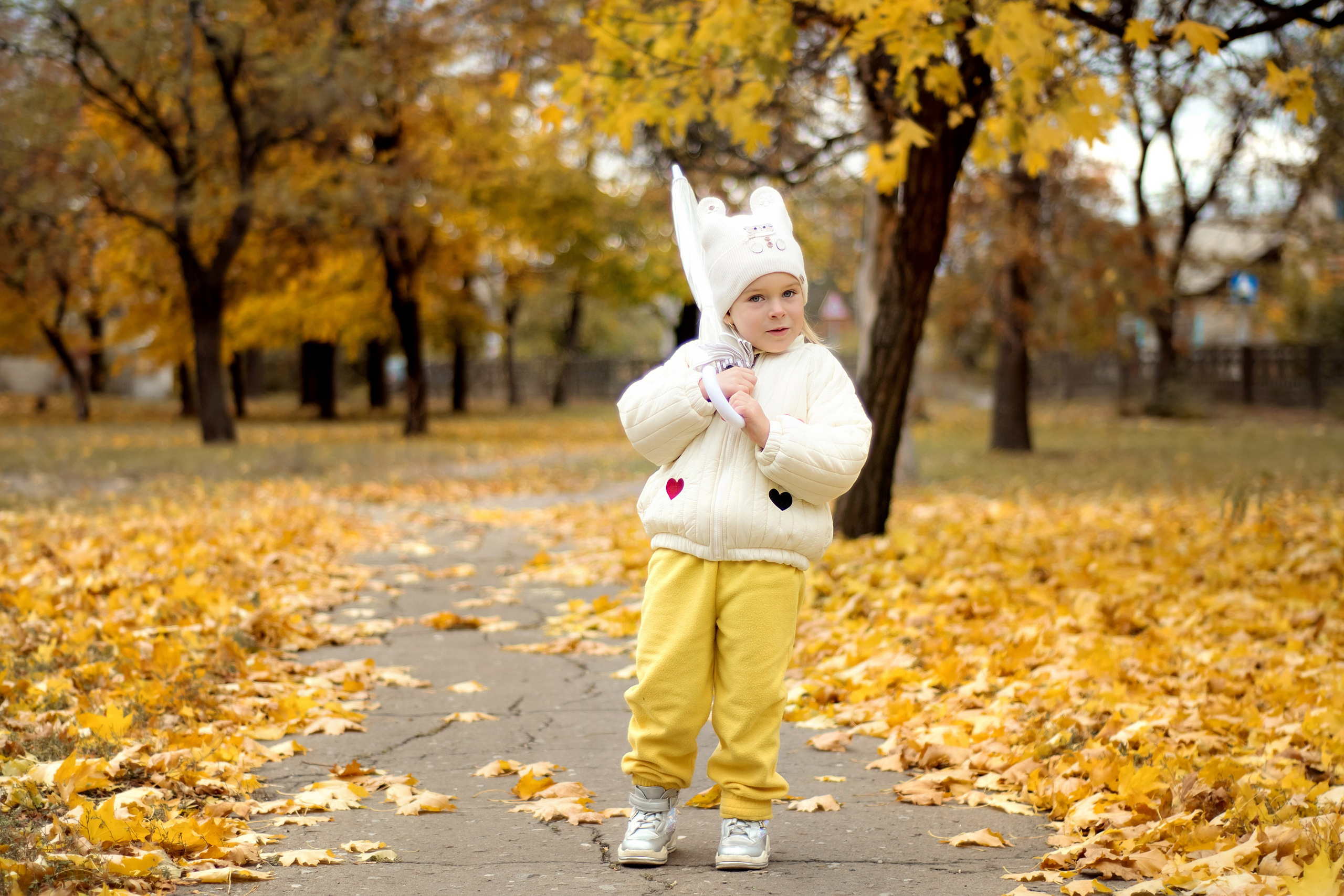 Осень. Фотограф Ольга Холина|Дебальцево