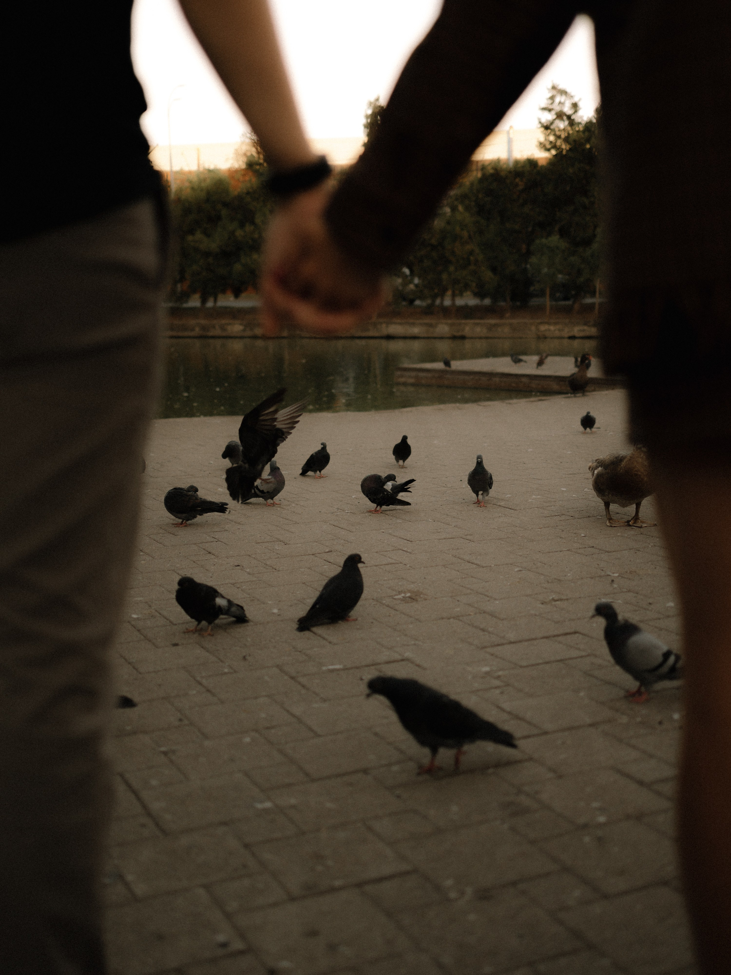 Миша и Полина. Семейный фотограф в Краснодаре Храмова Анна