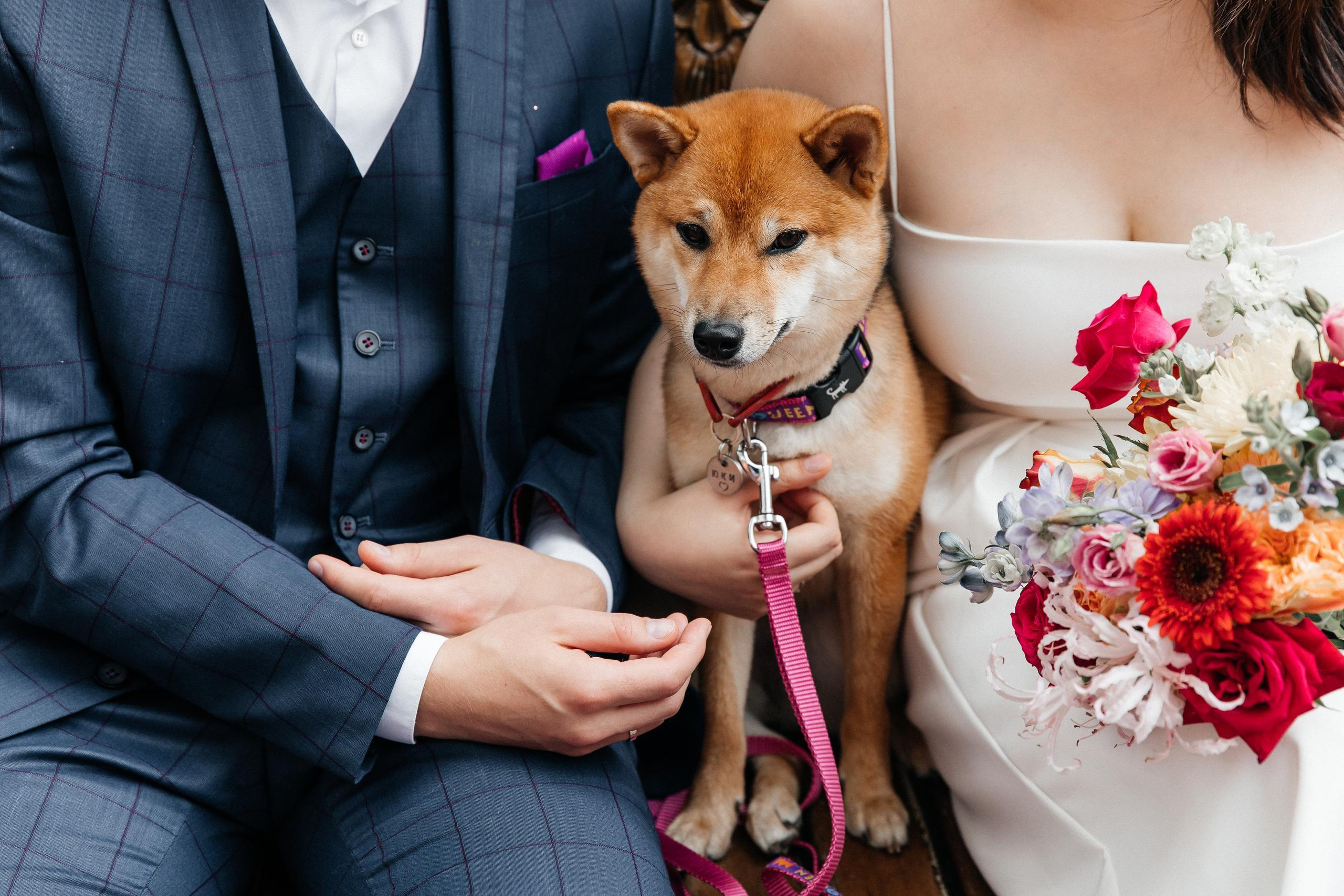 Константин и Дара. Вечеринка. Организация и координация свадебных и семейных торжеств