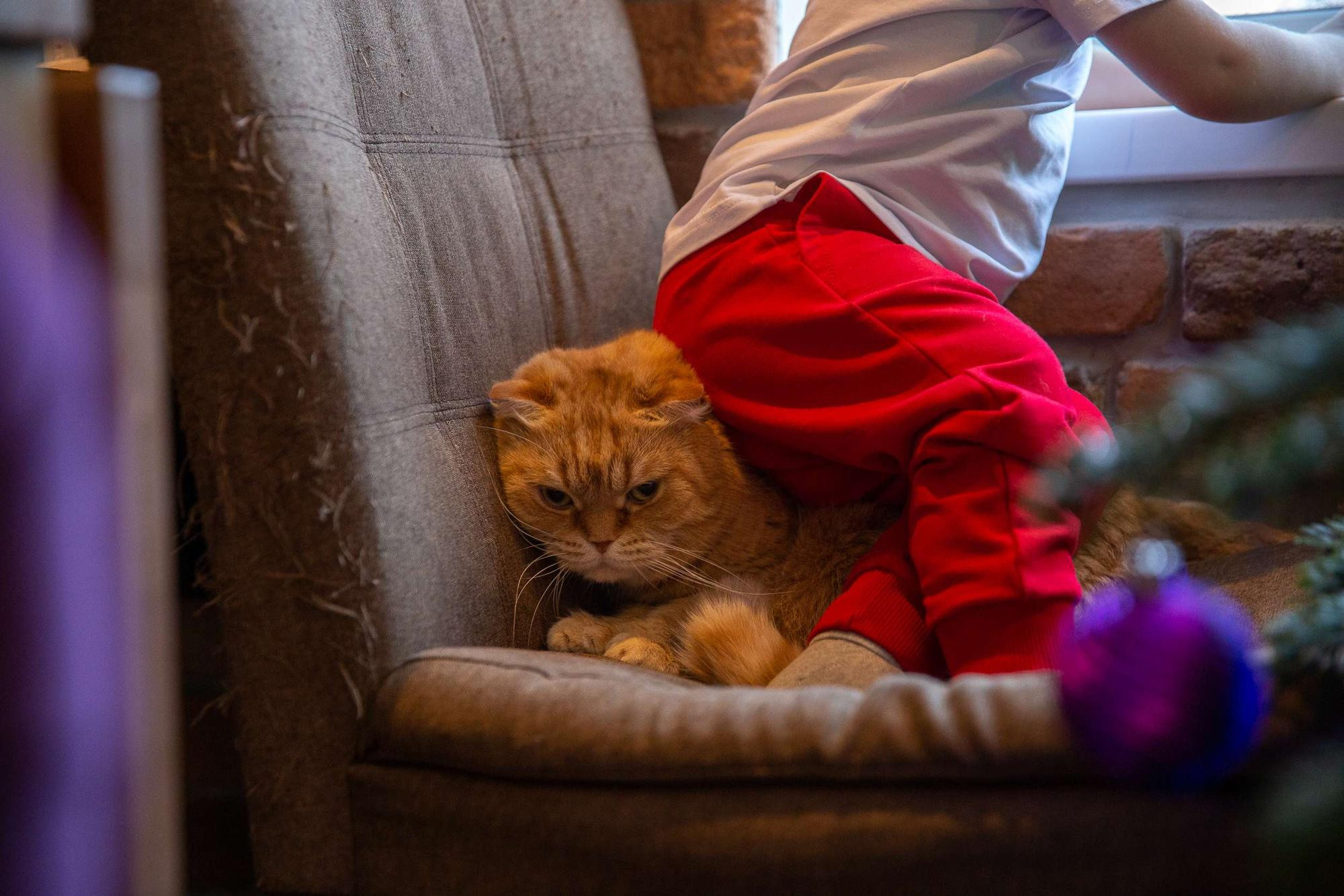 Новогодняя фотосессия в квартире для маленького мальчика и его мамы. Семейный и школьный фотограф в Москве Анна Ткач