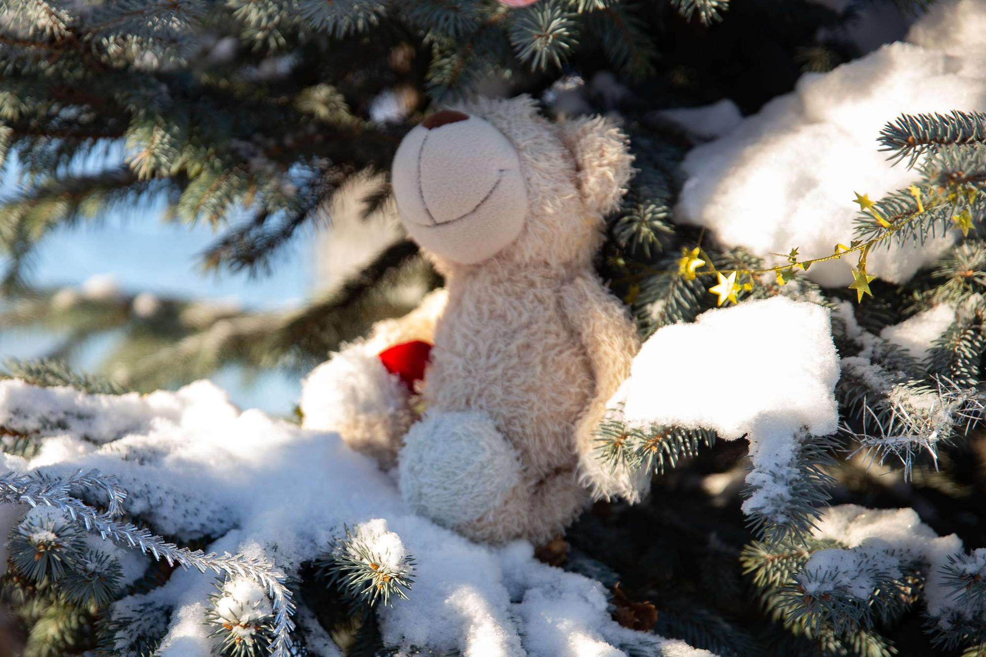 Новогодняя фотосессия в квартире для маленького мальчика и его мамы. Семейный и школьный фотограф в Москве Анна Ткач