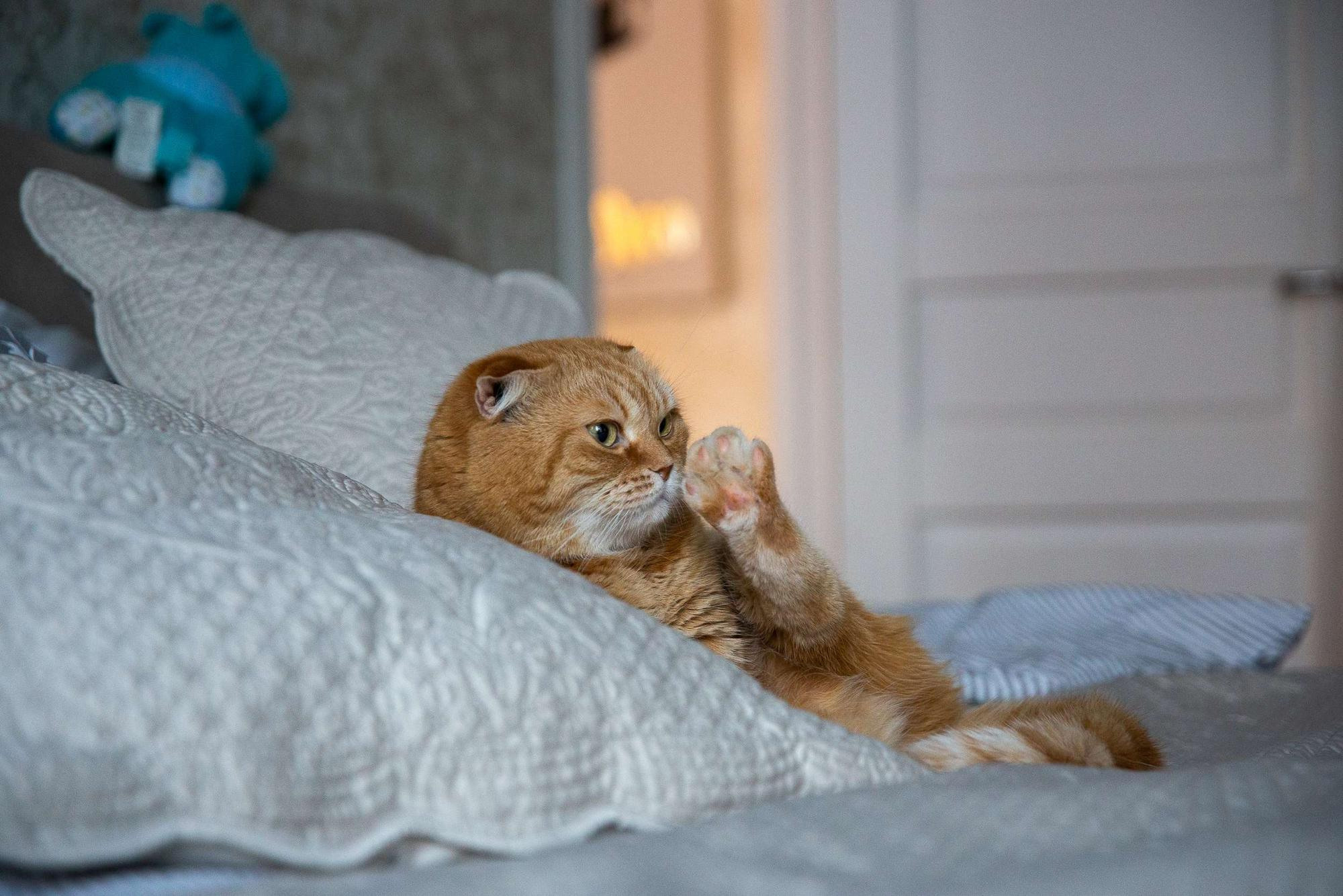 Новогодняя фотосессия в квартире для маленького мальчика и его мамы. Семейный и школьный фотограф в Москве Анна Ткач