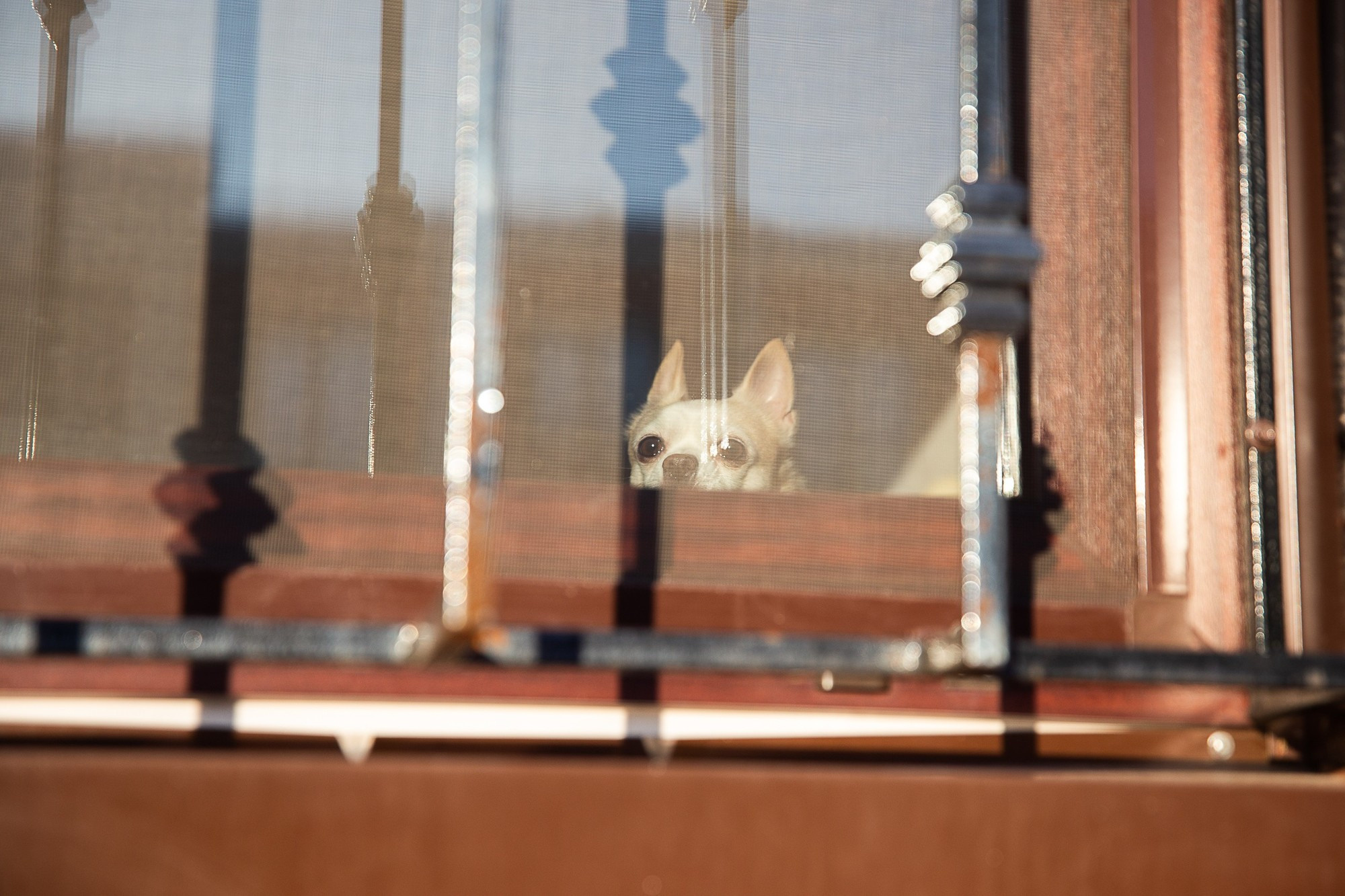 Фотосессия для мамы с дочкой дома и на улице зимой. Семейный и школьный фотограф в Москве Анна Ткач