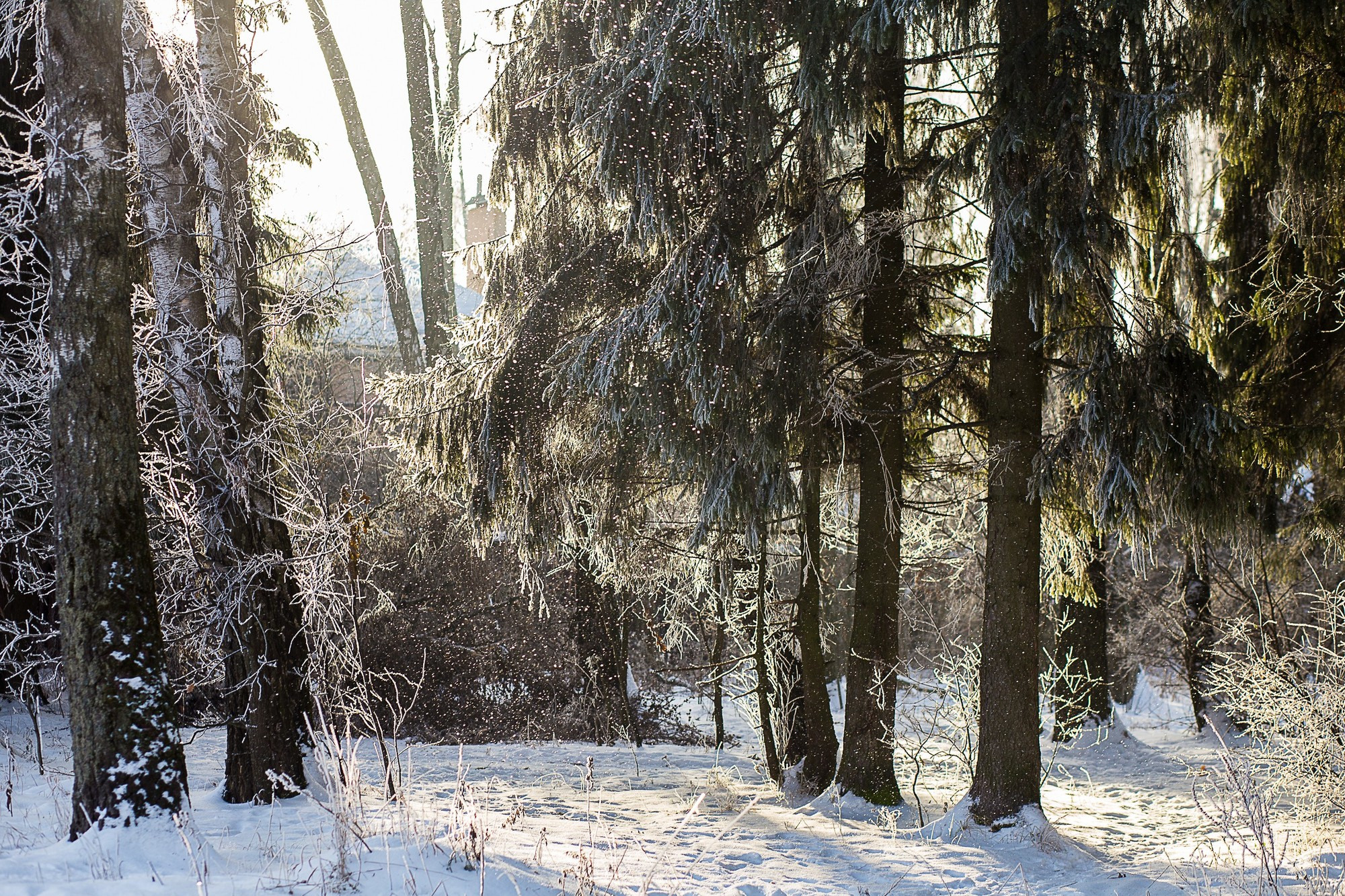 Фотосессия для мамы с дочкой дома и на улице зимой. Семейный и школьный фотограф в Москве Анна Ткач