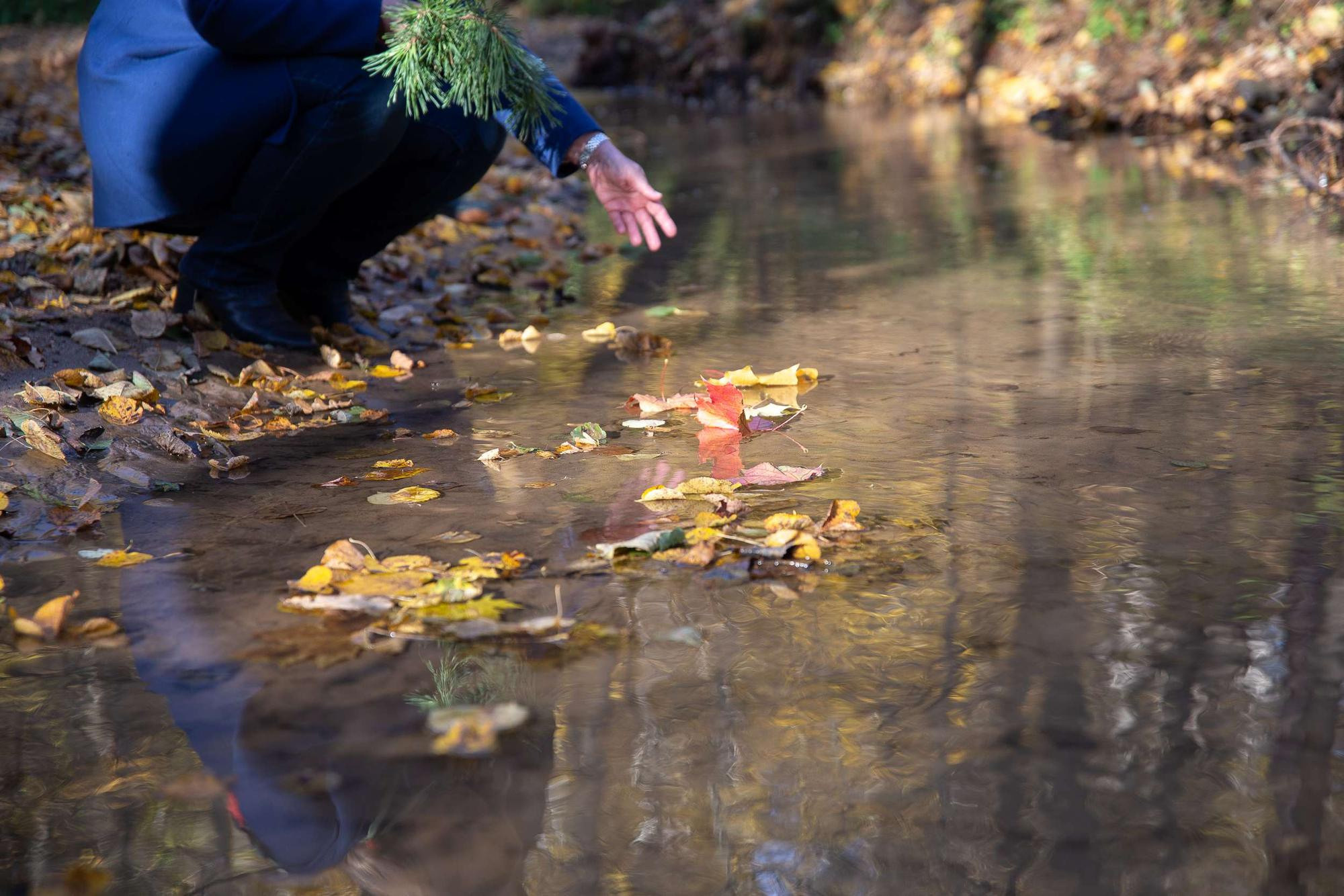 Фотопрогулка для семейной пары по осеннему лесу. Семейный и школьный фотограф в Москве Анна Ткач