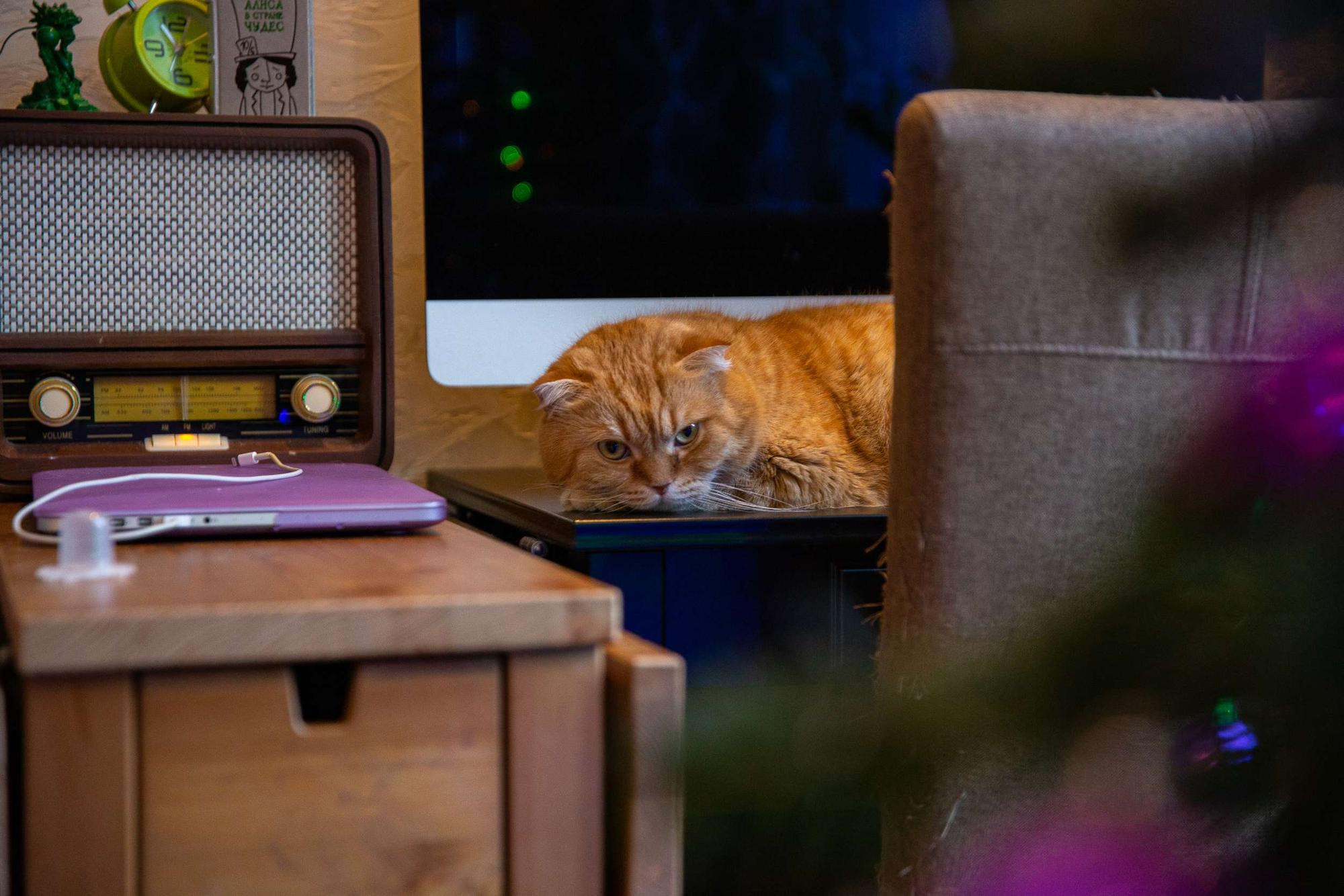 Новогодняя фотосессия в квартире для маленького мальчика и его мамы. Семейный и школьный фотограф в Москве Анна Ткач