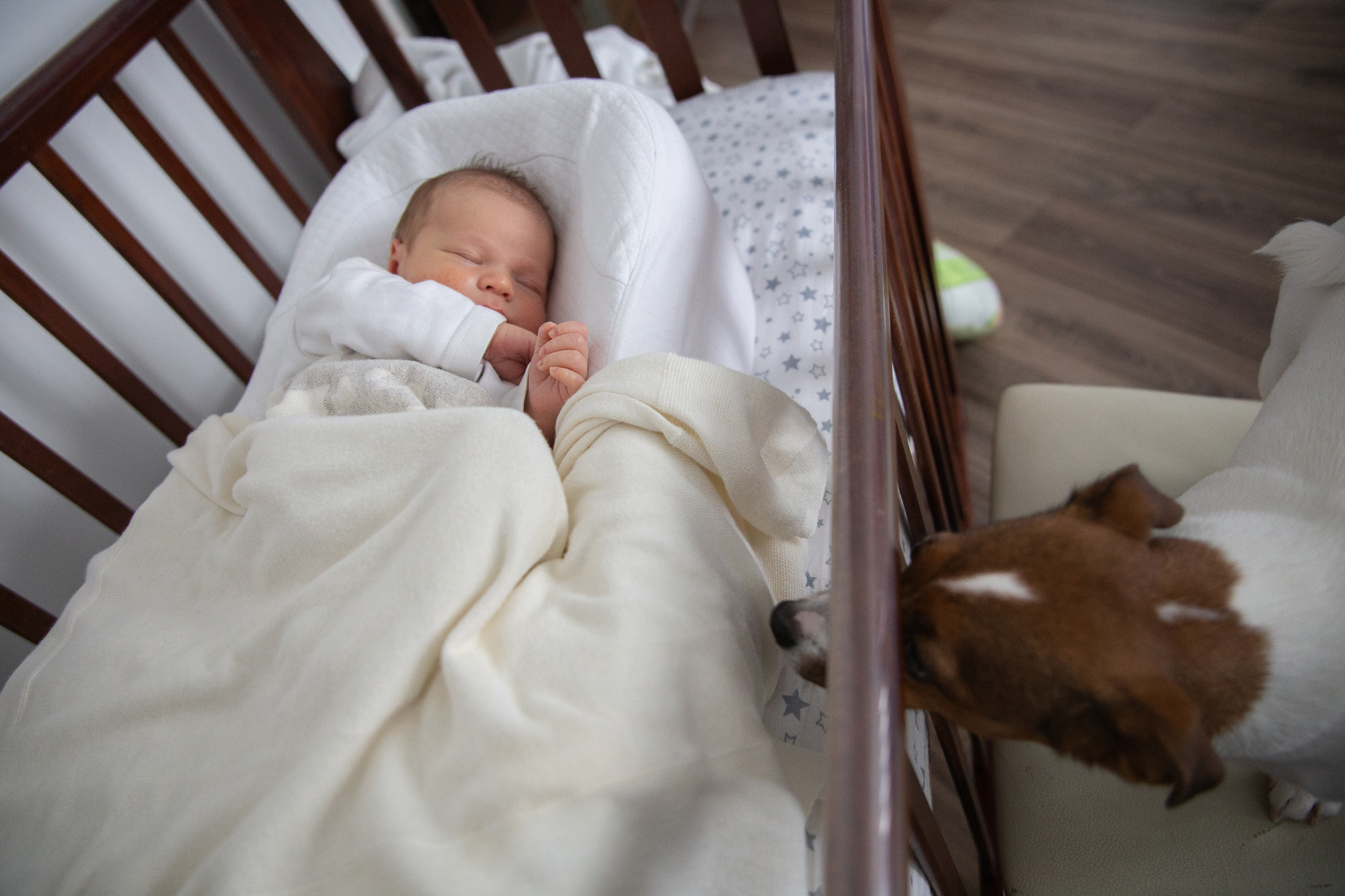 Максиму 2 недели