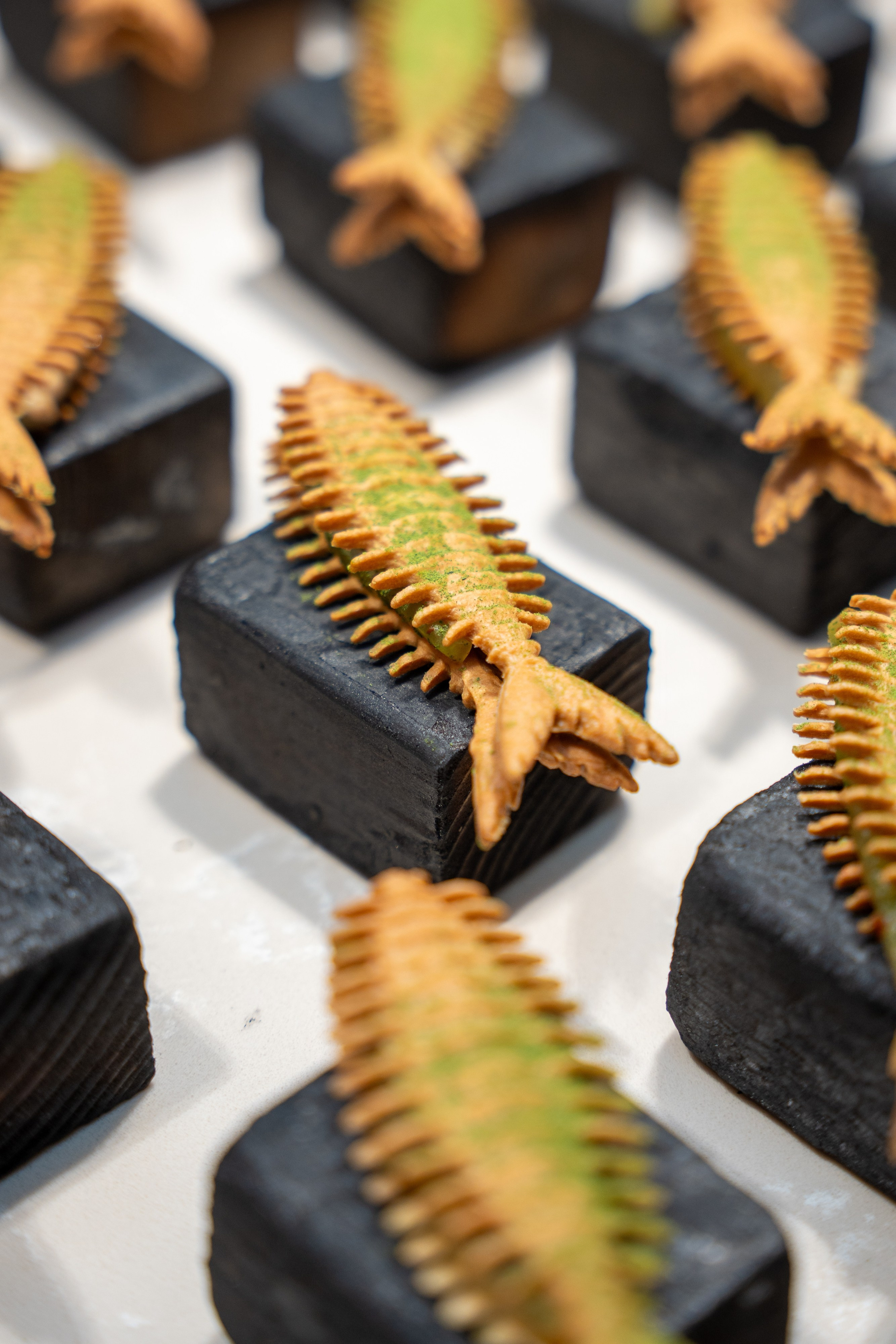 AMUR. Фотограф Хабаровск