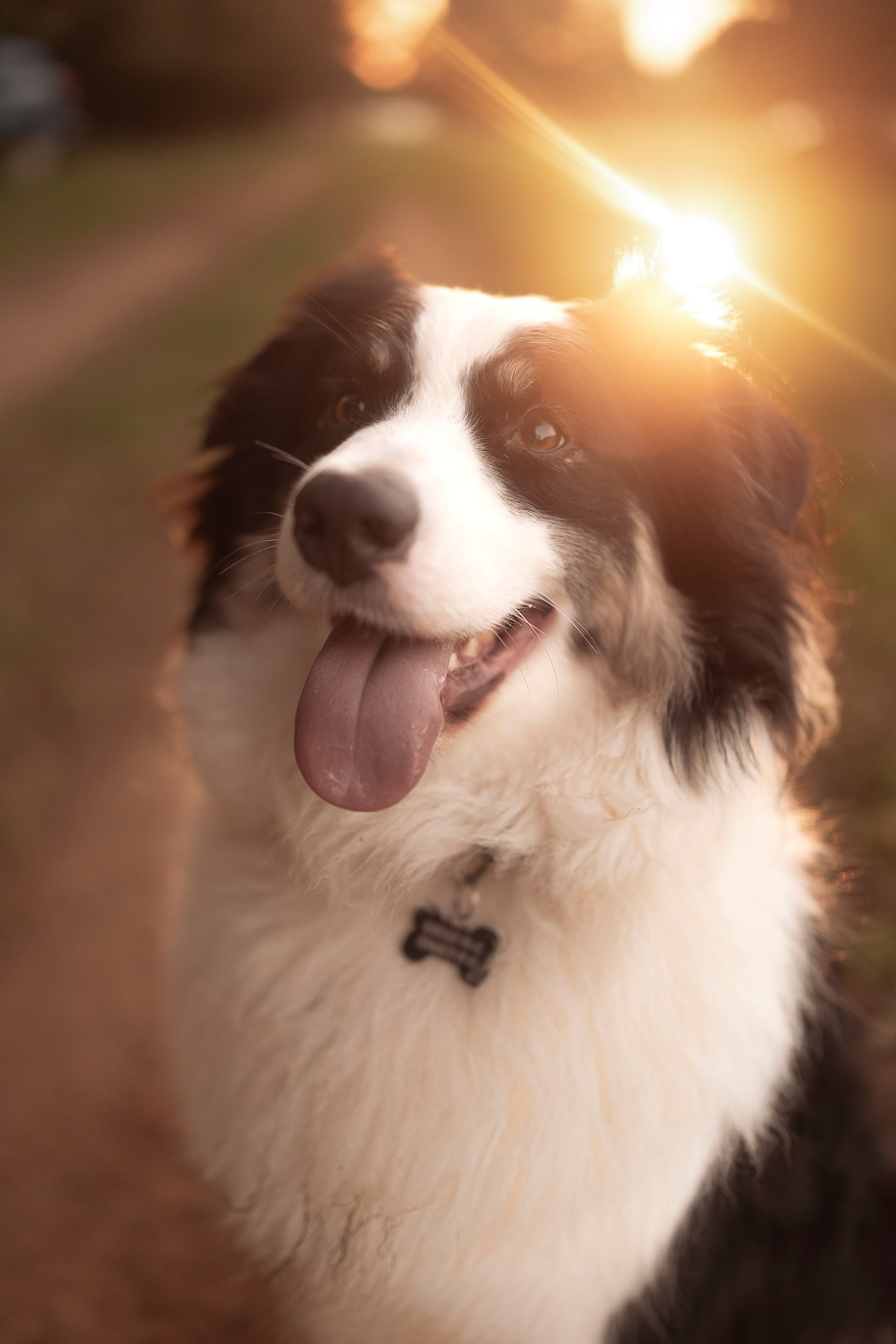 Вольт и Наташа. Семейный и свадебный фотограф в Москве Леванова Александра