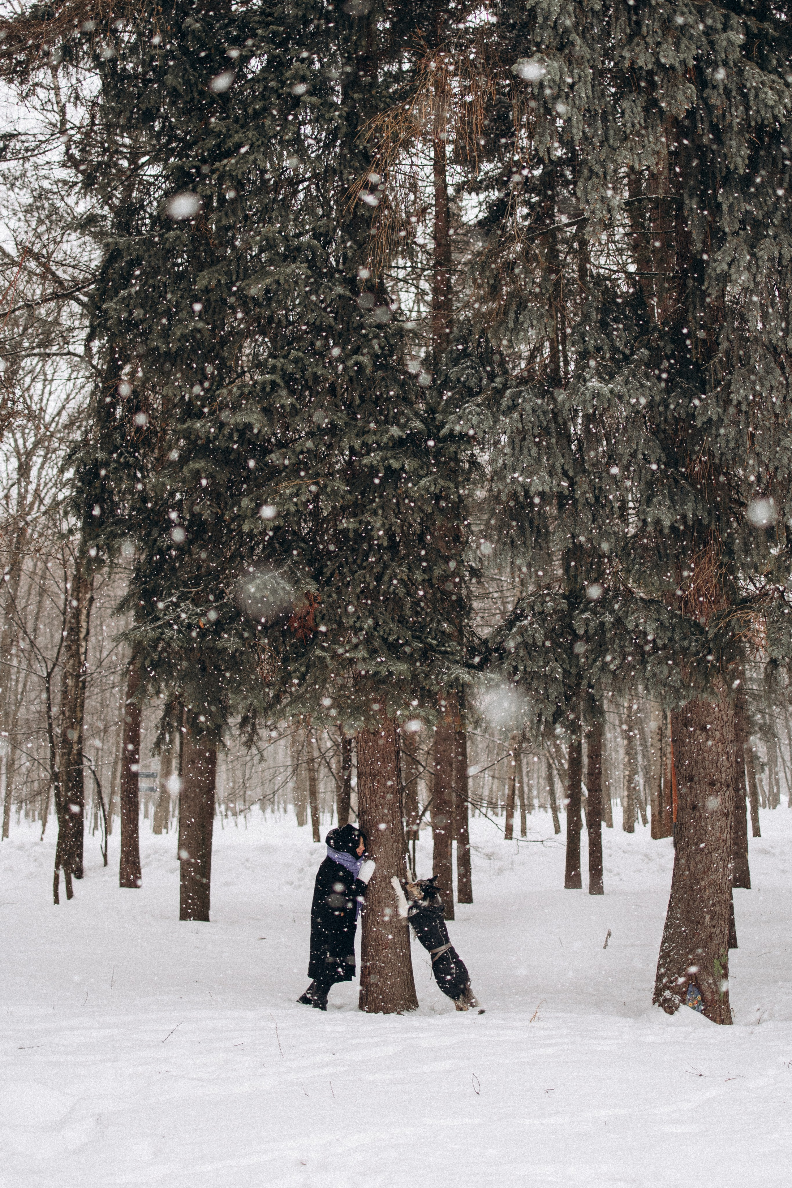 Настя и Тор. Фотораф — анималист Мария Шистка