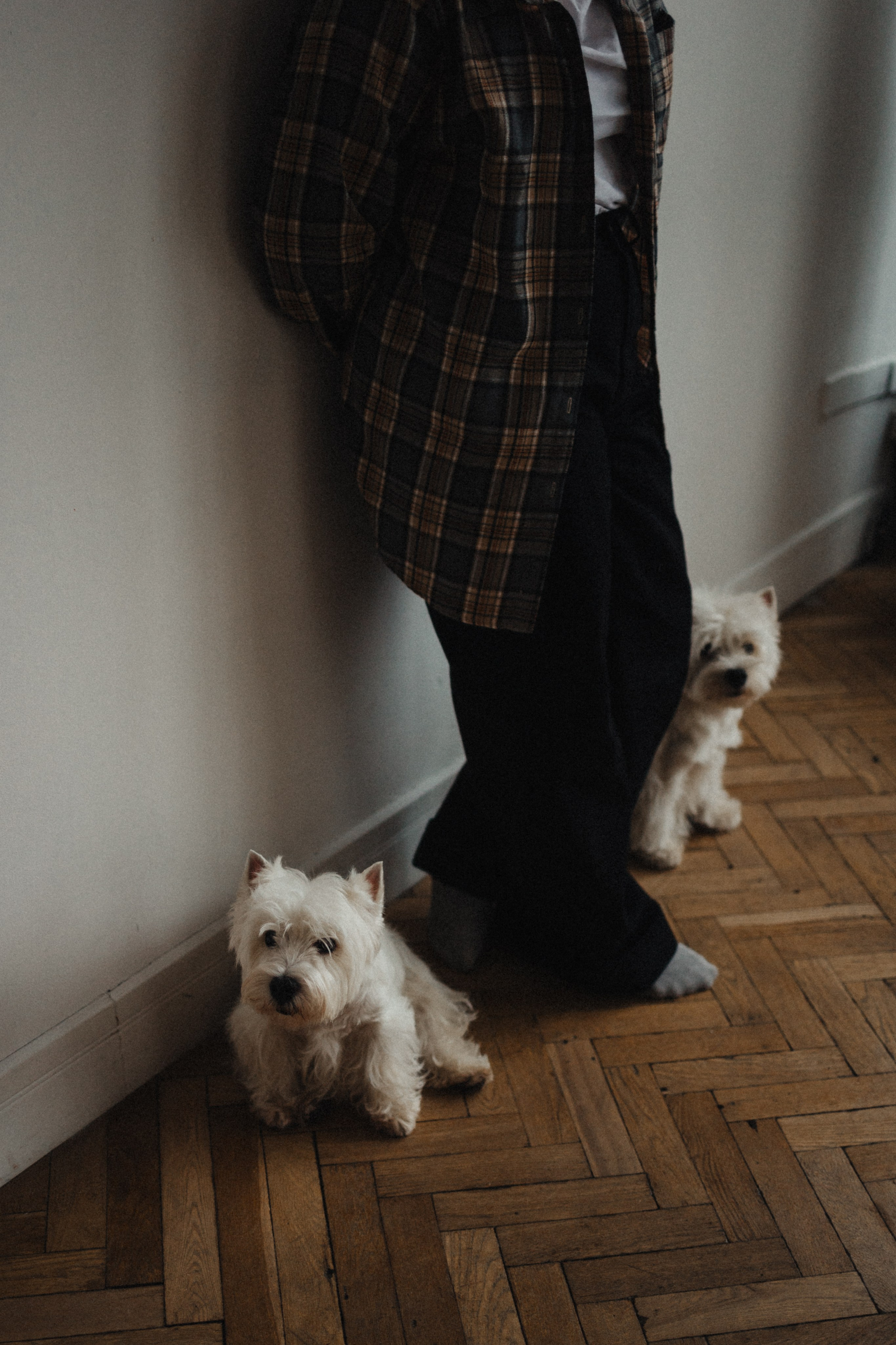 Вероника, Мята и Малина. Фотораф — анималист Мария Шистка