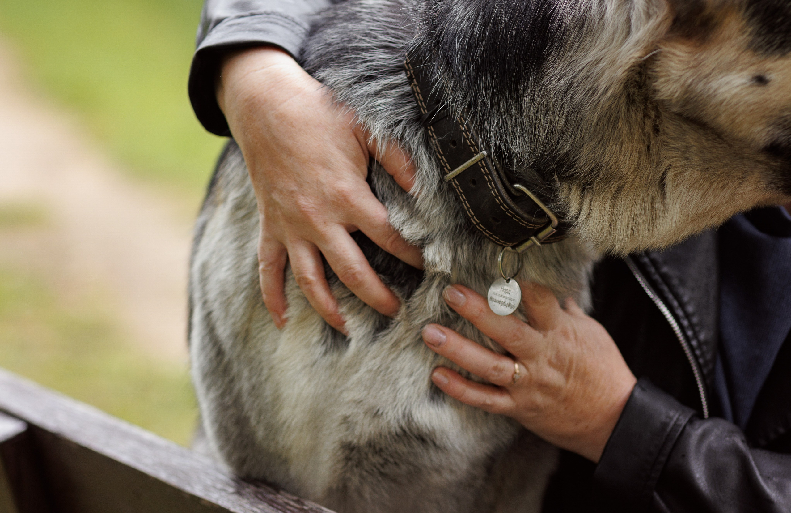 Оксана И Норд. Фотограф — Анималист Наталья Тямушева