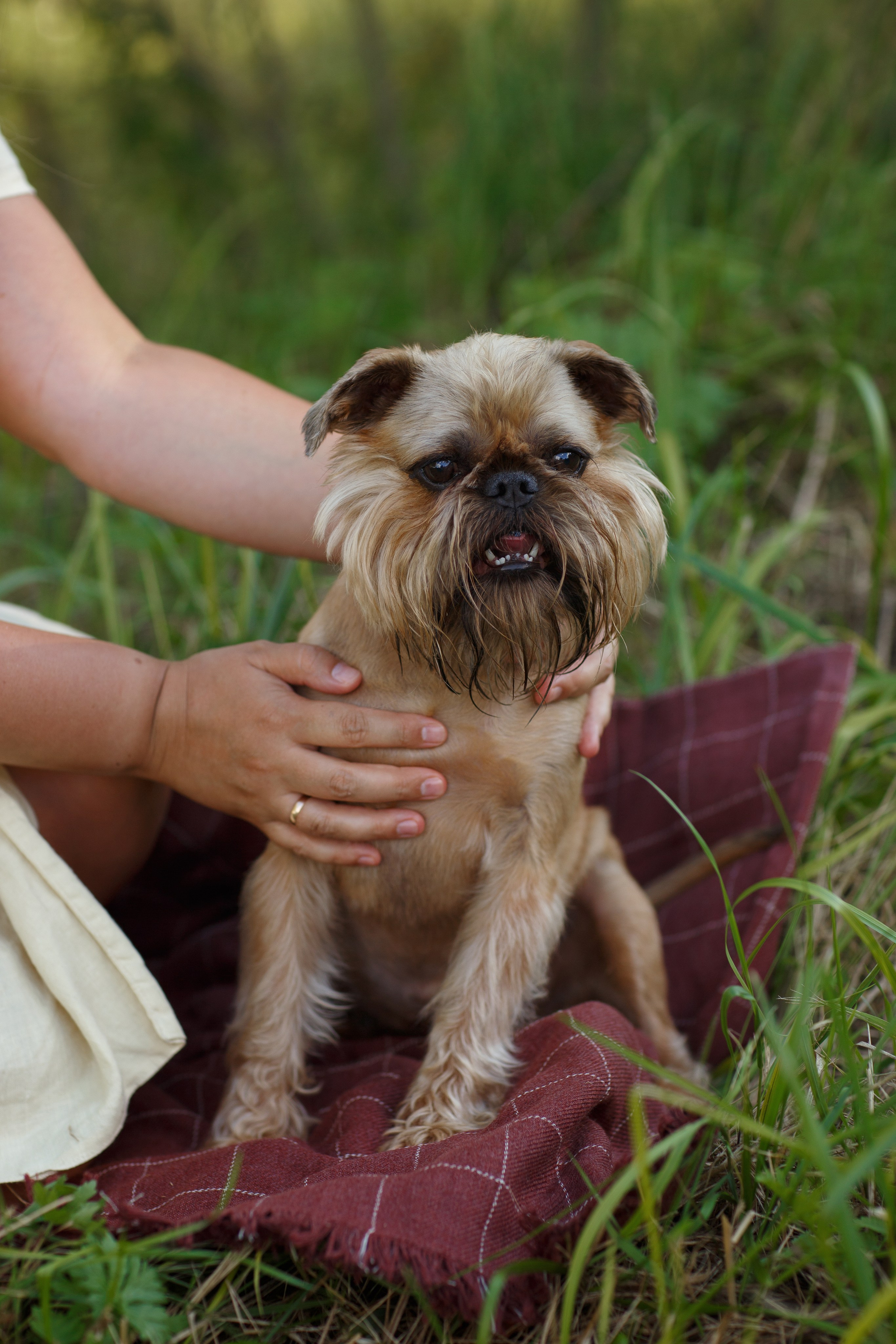 Лена и Барри. Фотограф — Анималист Наталья Тямушева