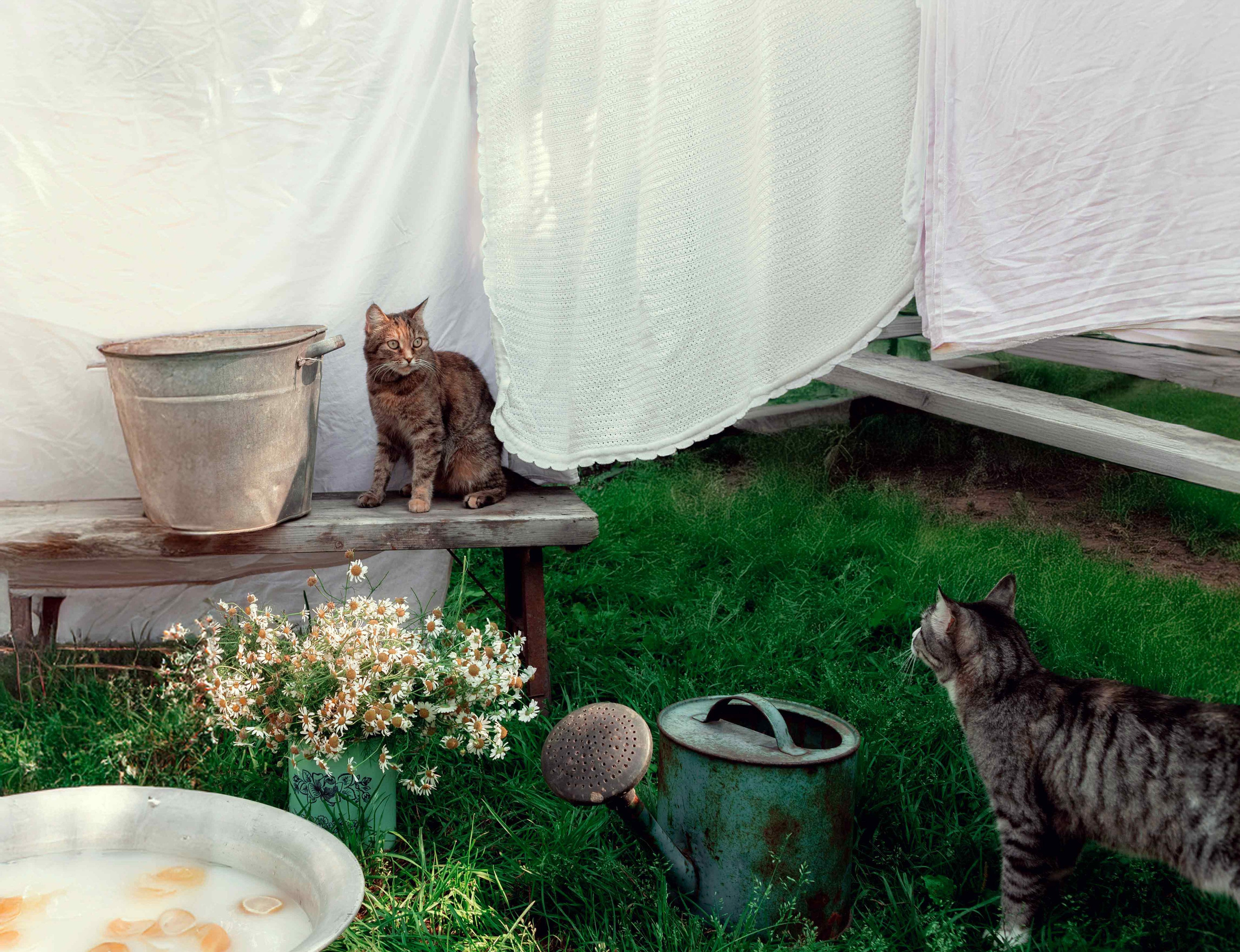 Детская фотосессия. Семейный, свадебный и детский фотограф в Новосибирске Ольга Хидченко