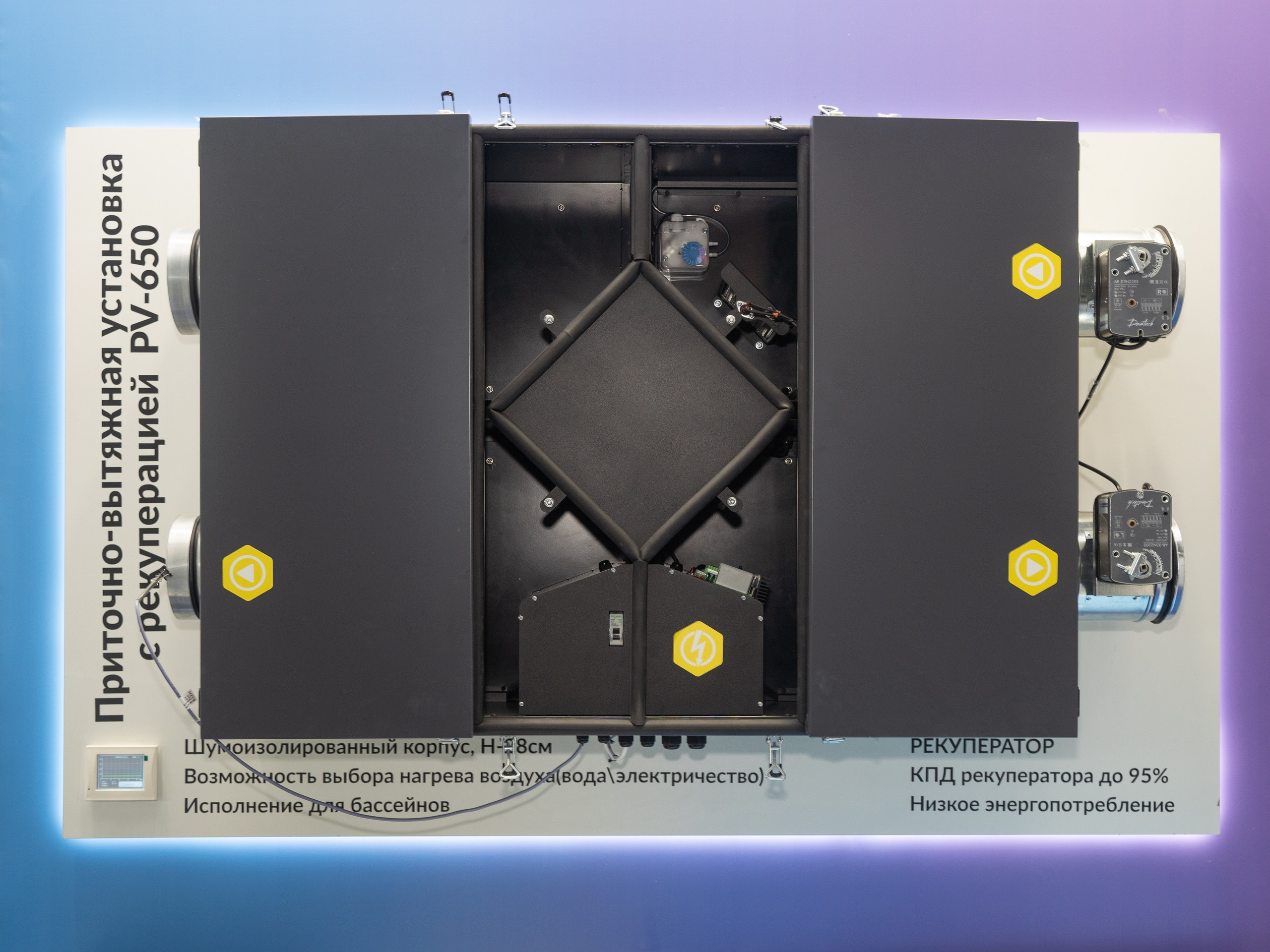 Крокус Вентиляция. Фотограф Зинаида Евдокимова